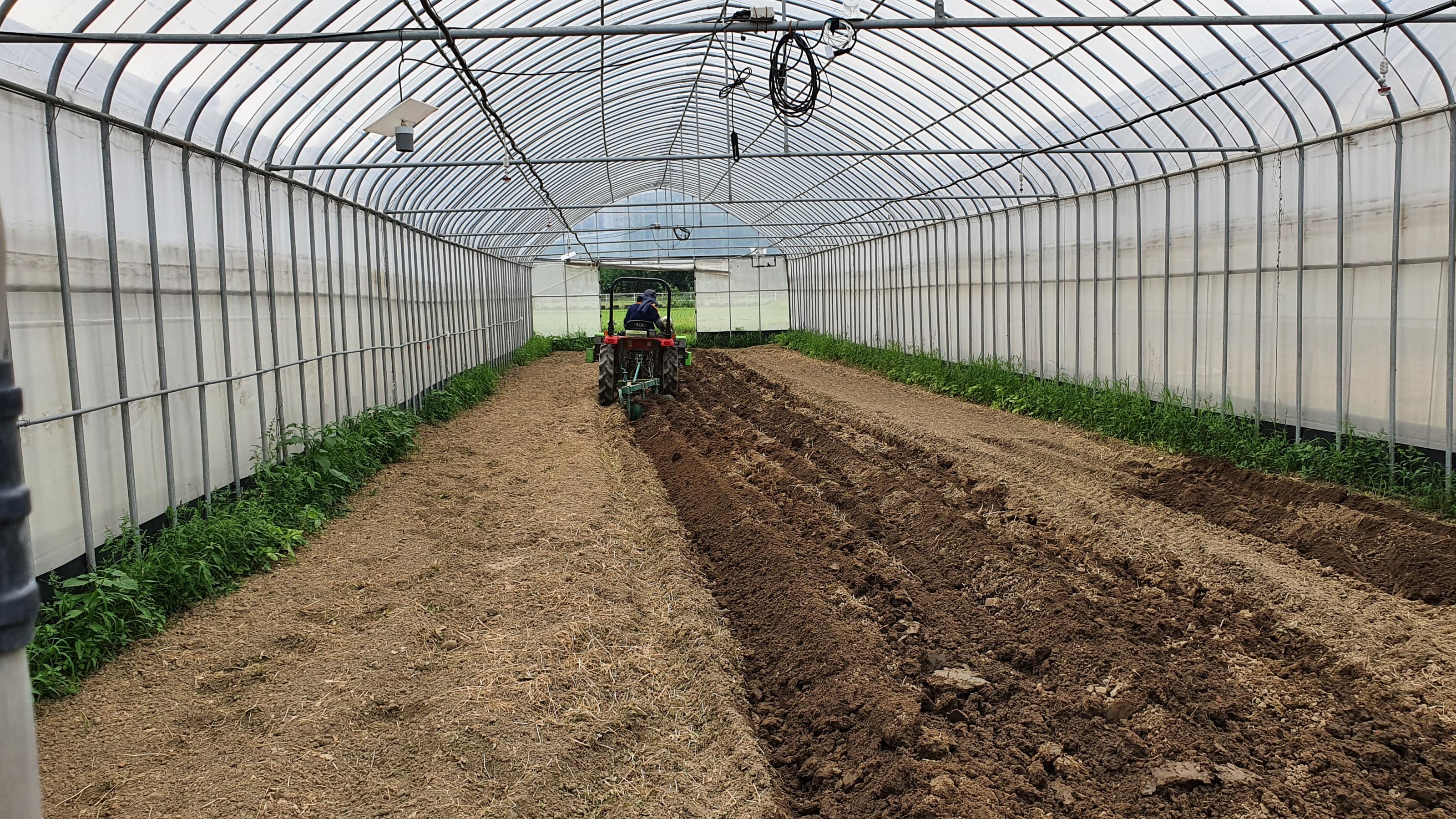 利用深耕方式將表土與底土混合，改善土壤鹽類累積