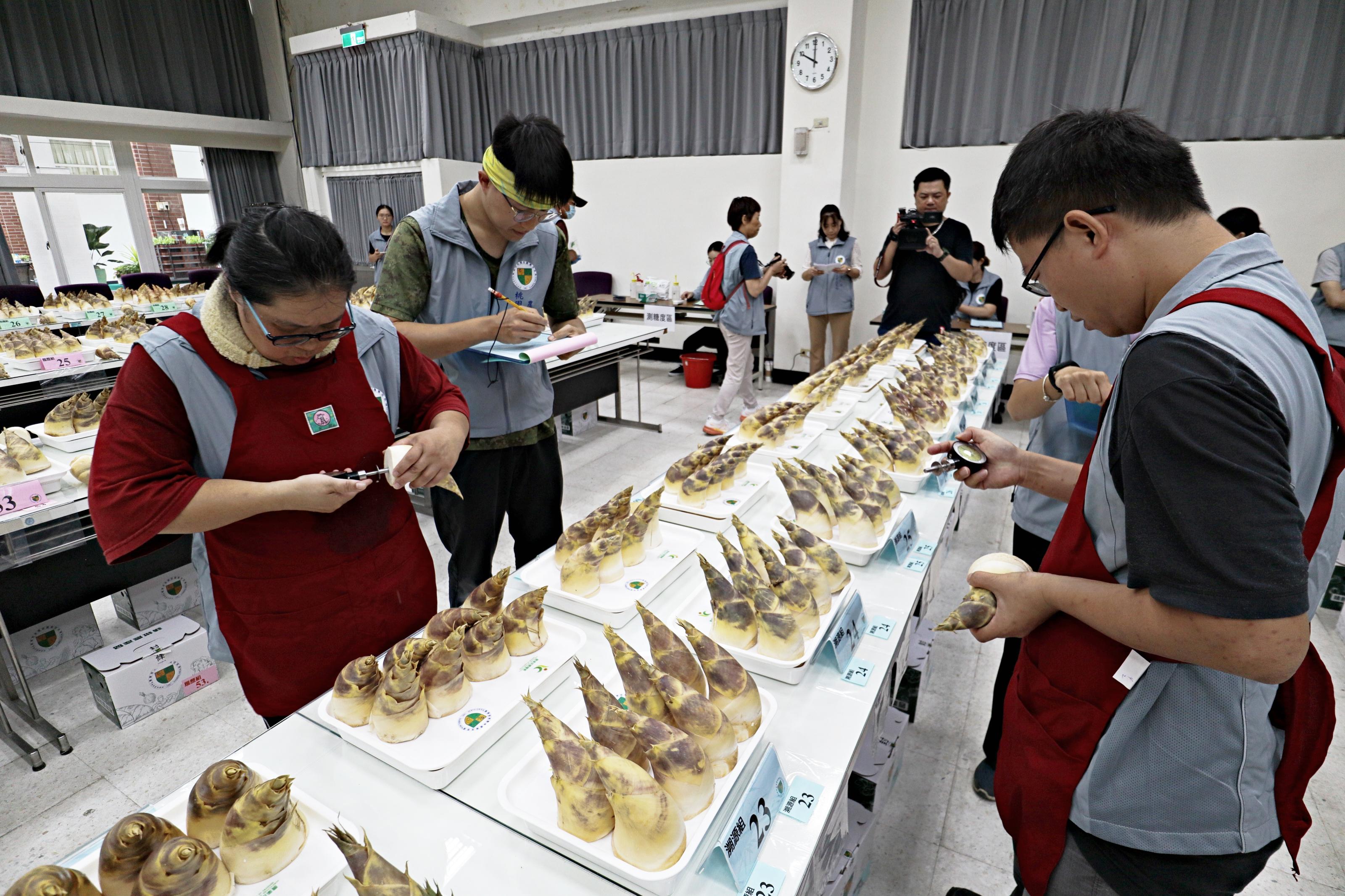 柔嫩度檢測，同編號樣品進行兩支筍的抽測