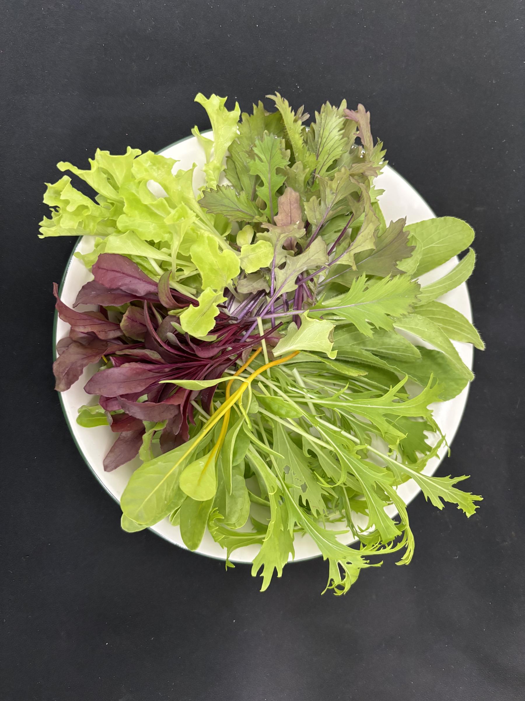 圖1.貝比生菜質感幼嫩,為新興蔬菜品項之一。