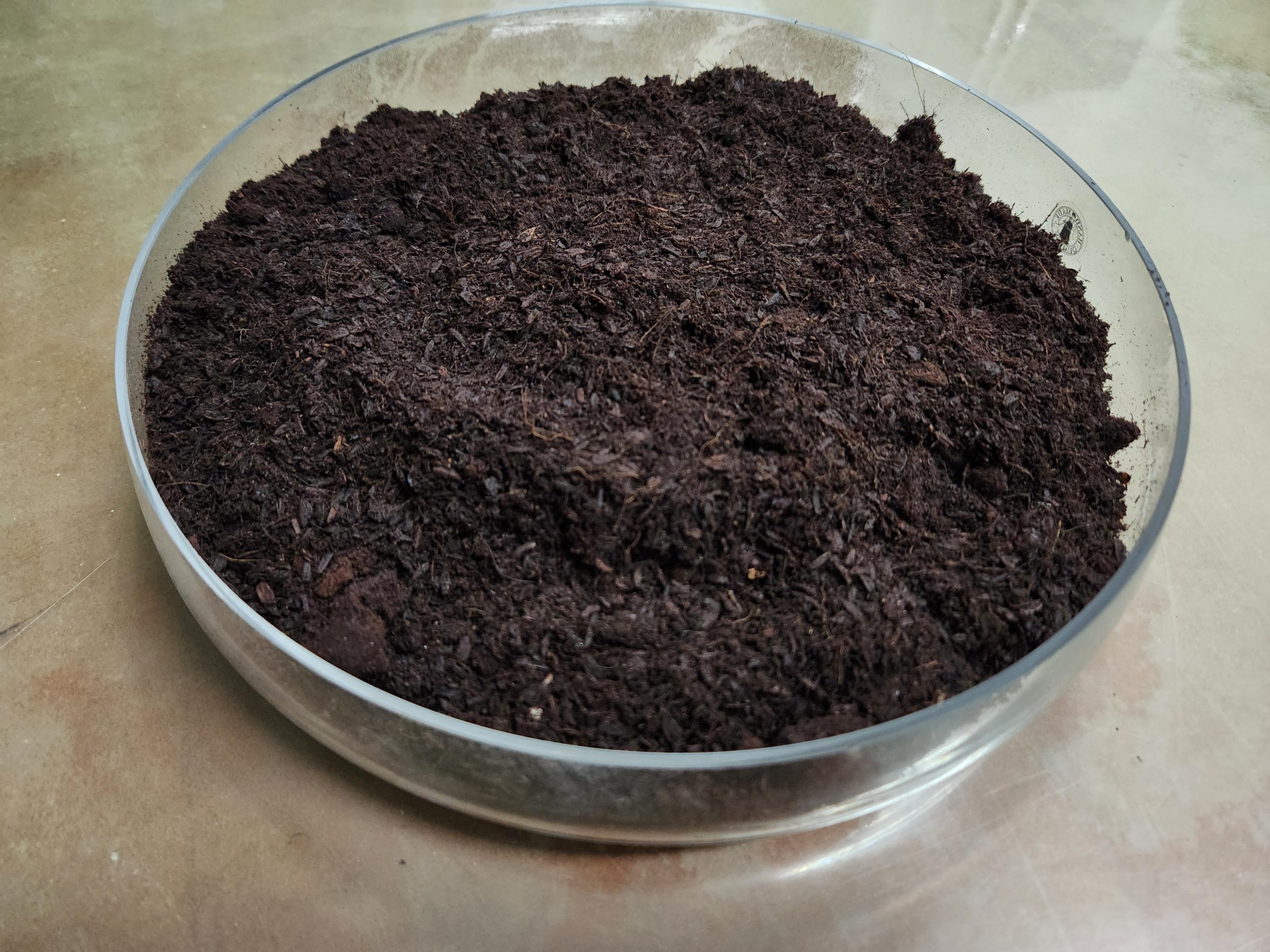 圖1. 桃改4號葉菜用育苗介質外觀。