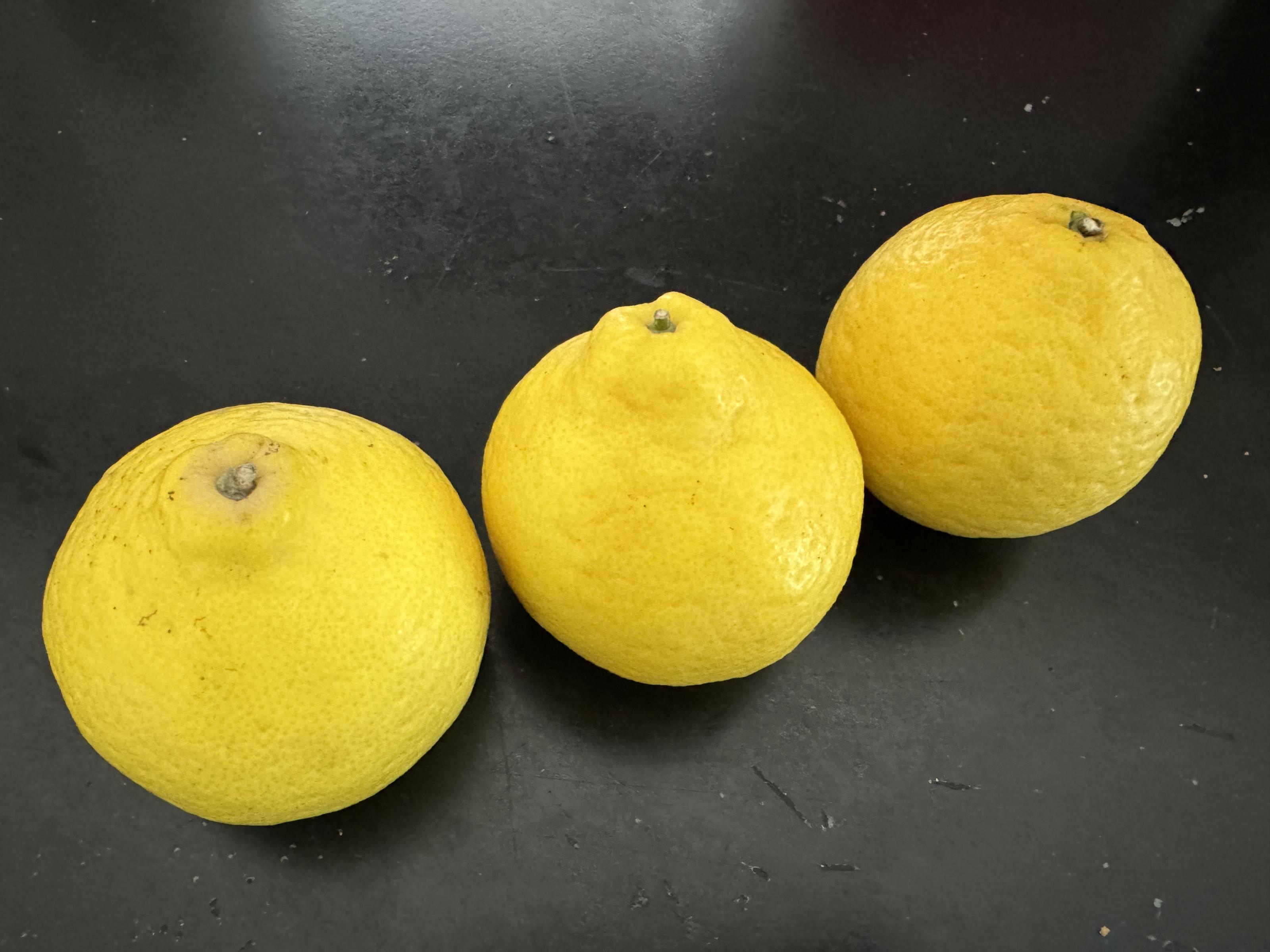 圖1.三寶柑為近期引起廣大網友熱烈討論之新興柑橘。