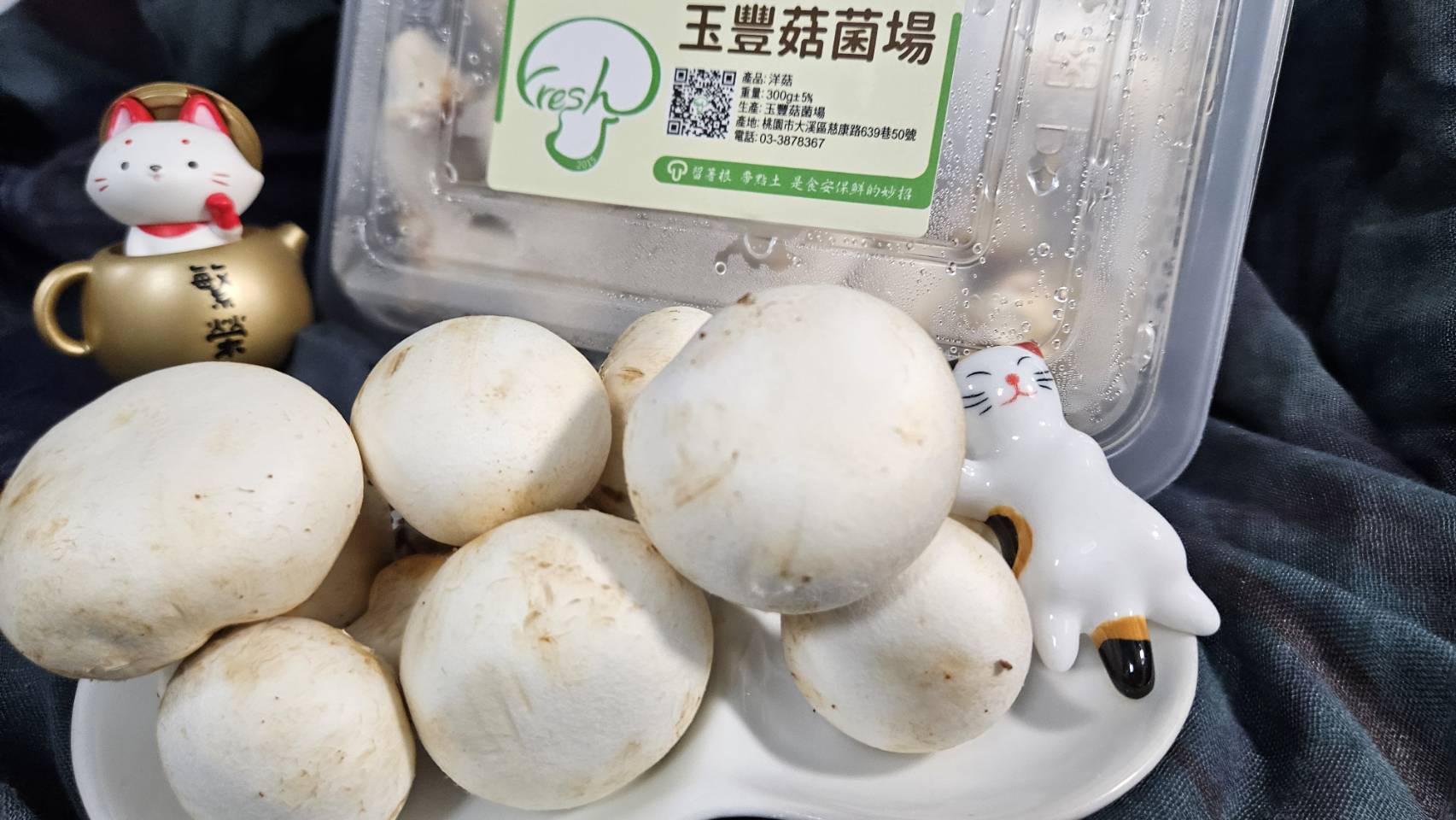 圖1.洋菇。