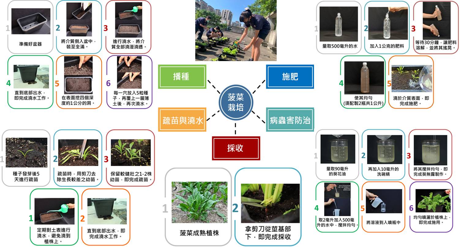 圖1.系統性教學流程分成五大步驟清楚明瞭。