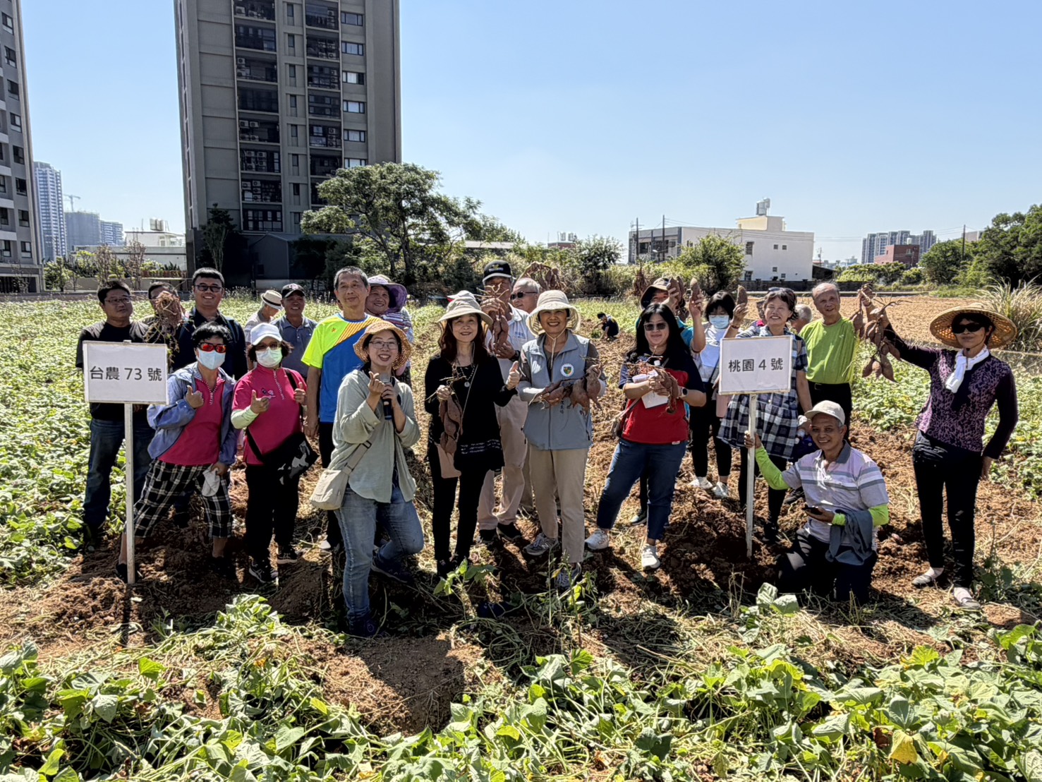 圖2.與會來賓展示甘藷新品種「桃園4號-紫晶」塊根。