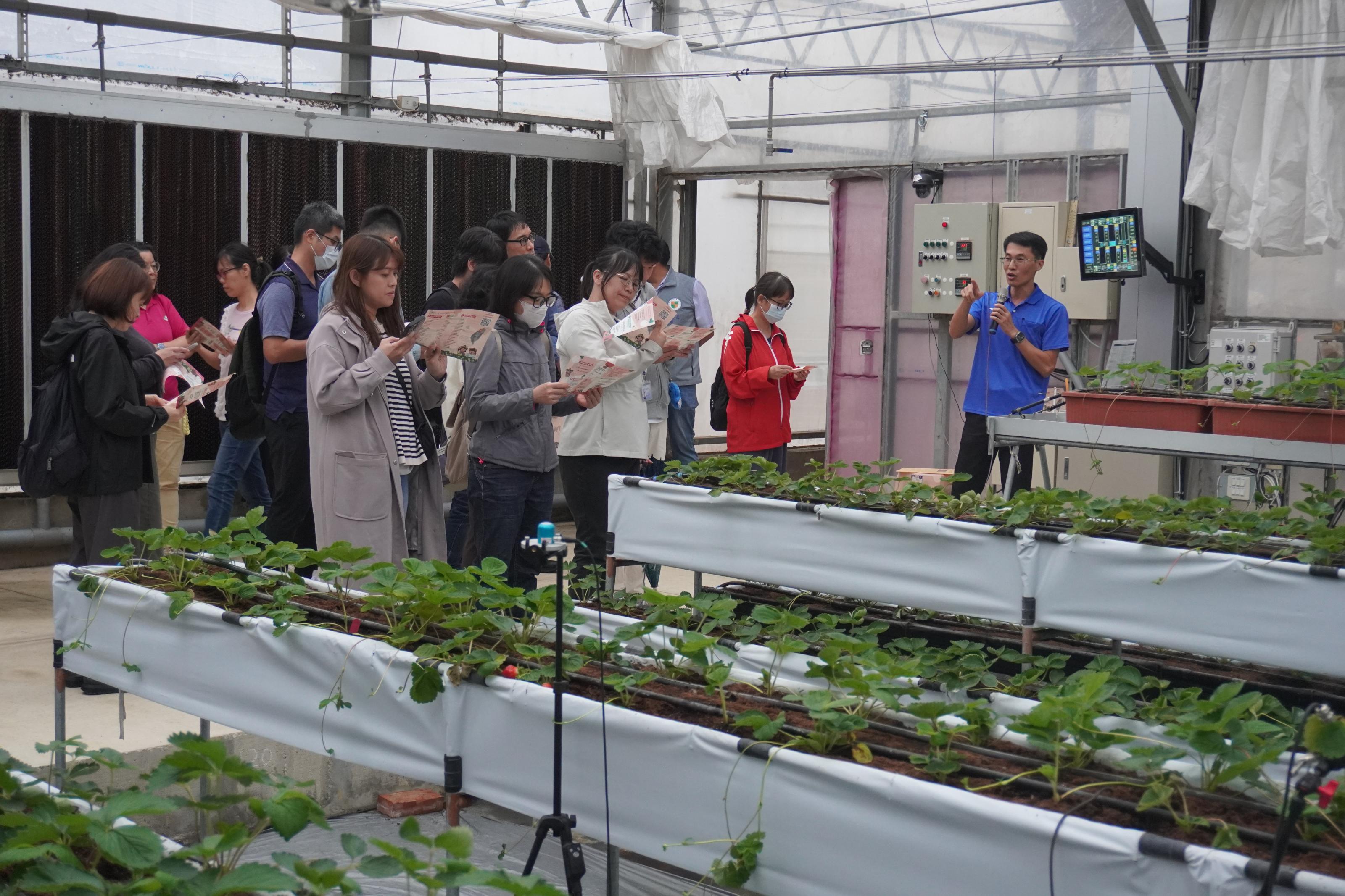 圖7.羅國偉副研究員解說草苺智慧管理技術。