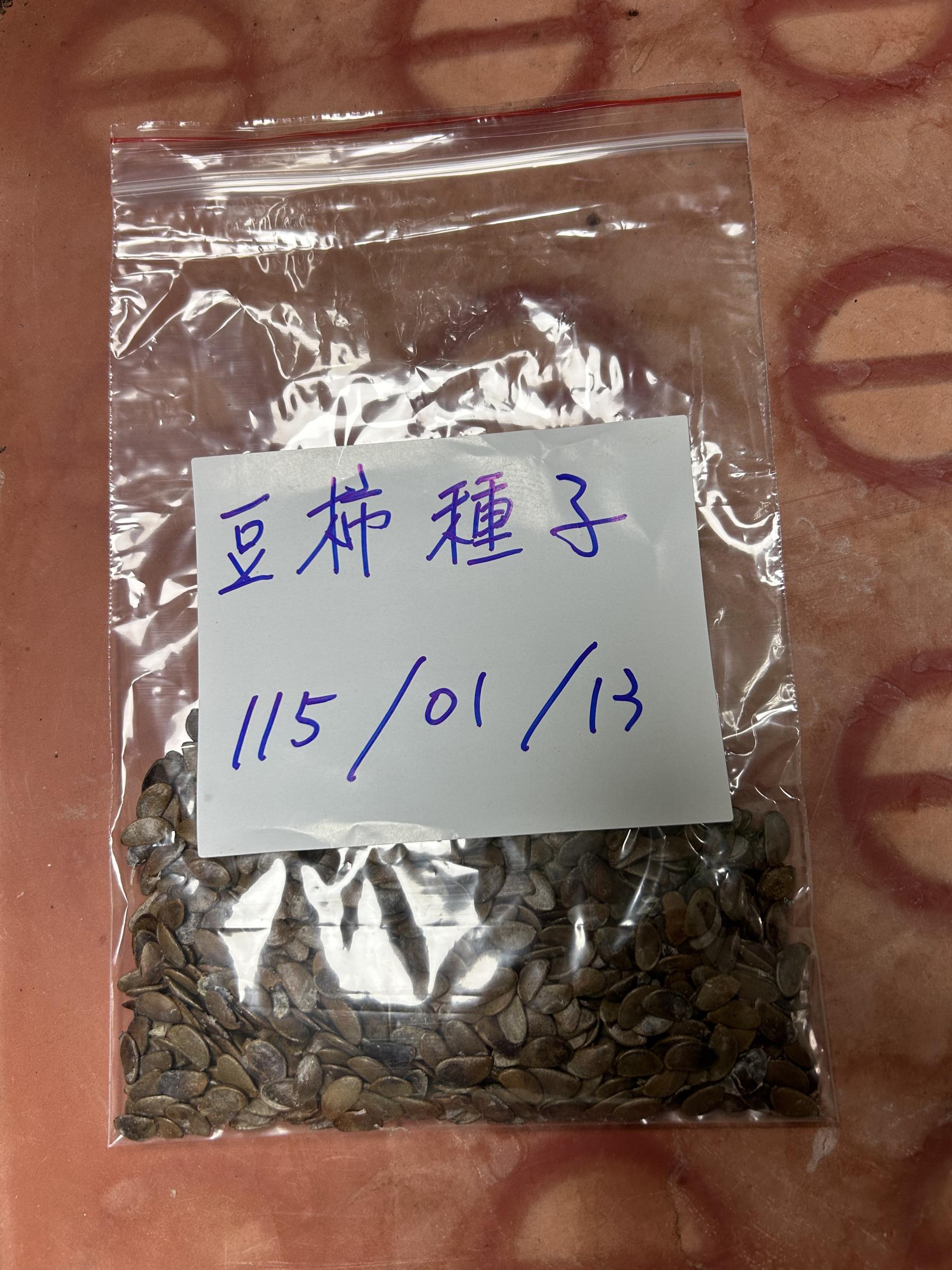圖6.步驟5-種子保存:用夾鏈袋隔絕濕氣,放在-18℃下可長期儲藏。