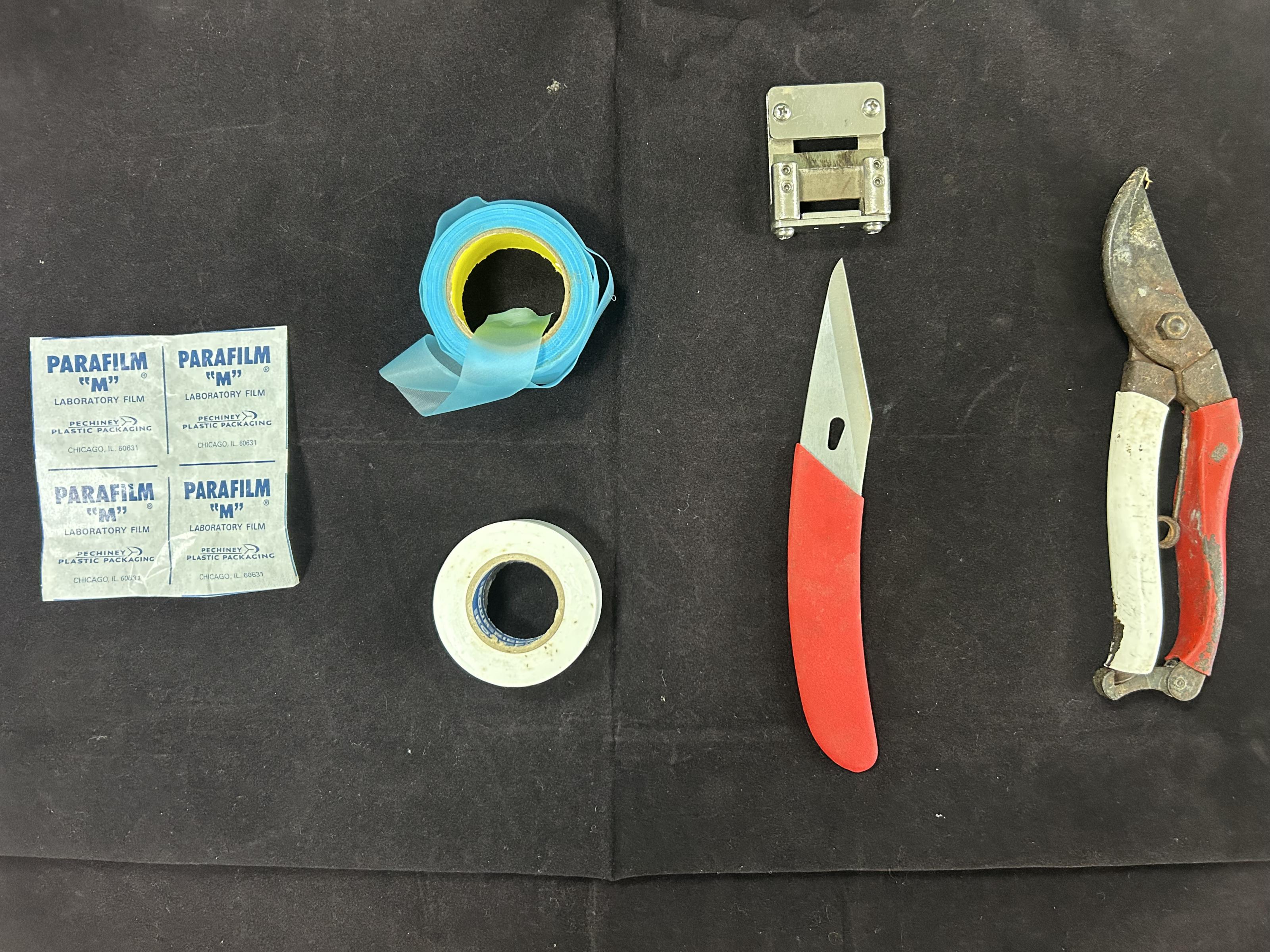 圖1.準備工具由左至右分別為石蠟膜、嫁接帶(可用電火布或石蠟膜代替)、嫁接刀(或安全嫁接刀)及剪錠夾。