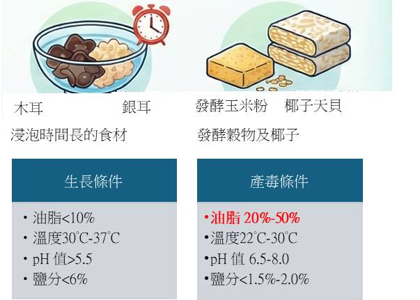 圖3.唐菖蒲伯克氏菌椰毒病原型最適生長及產毒條件。