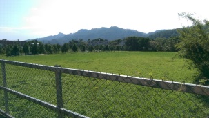 申請農業用地作農業設施容許使用、水保及建照。