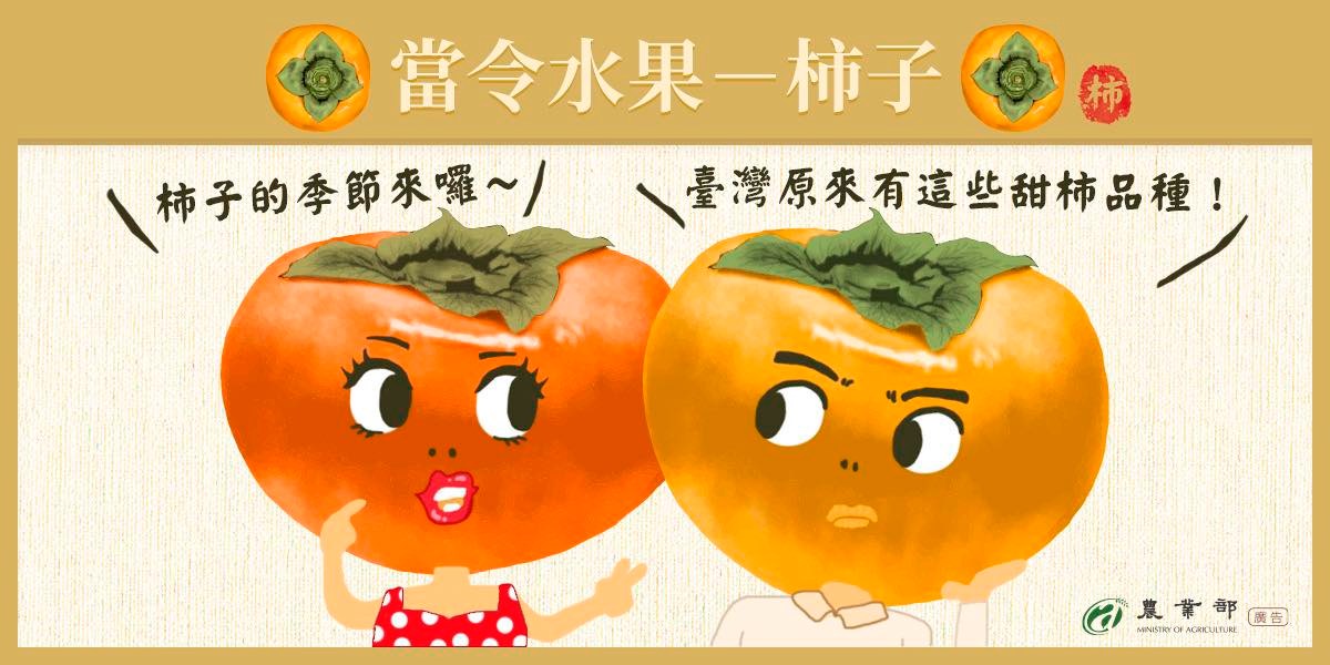 臺灣原來有這些甜柿品種-1
