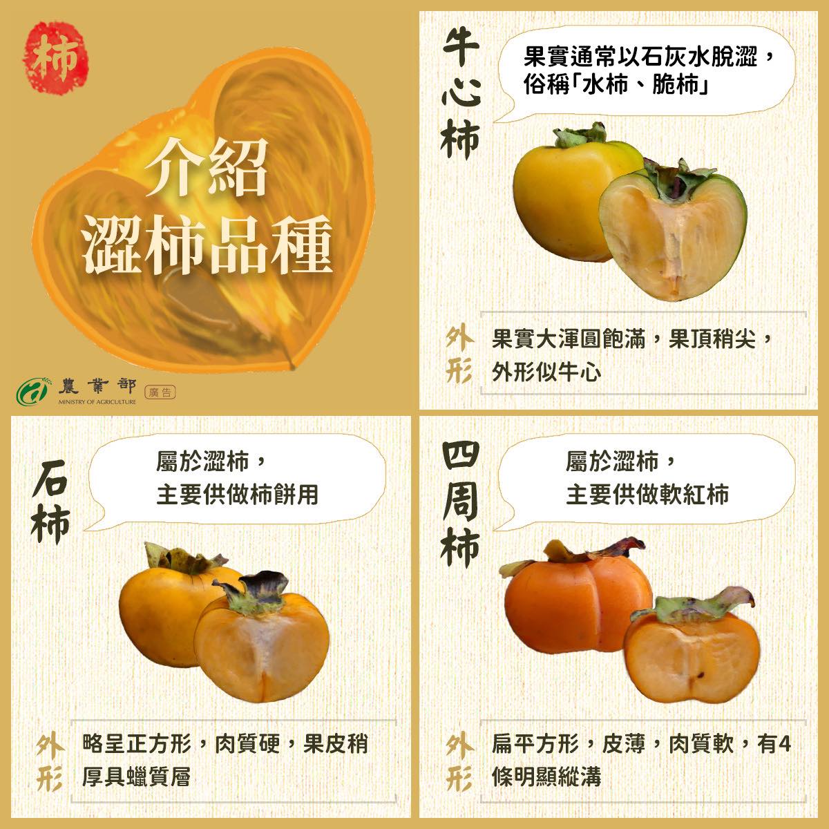 臺灣原來有這些甜柿品種-3