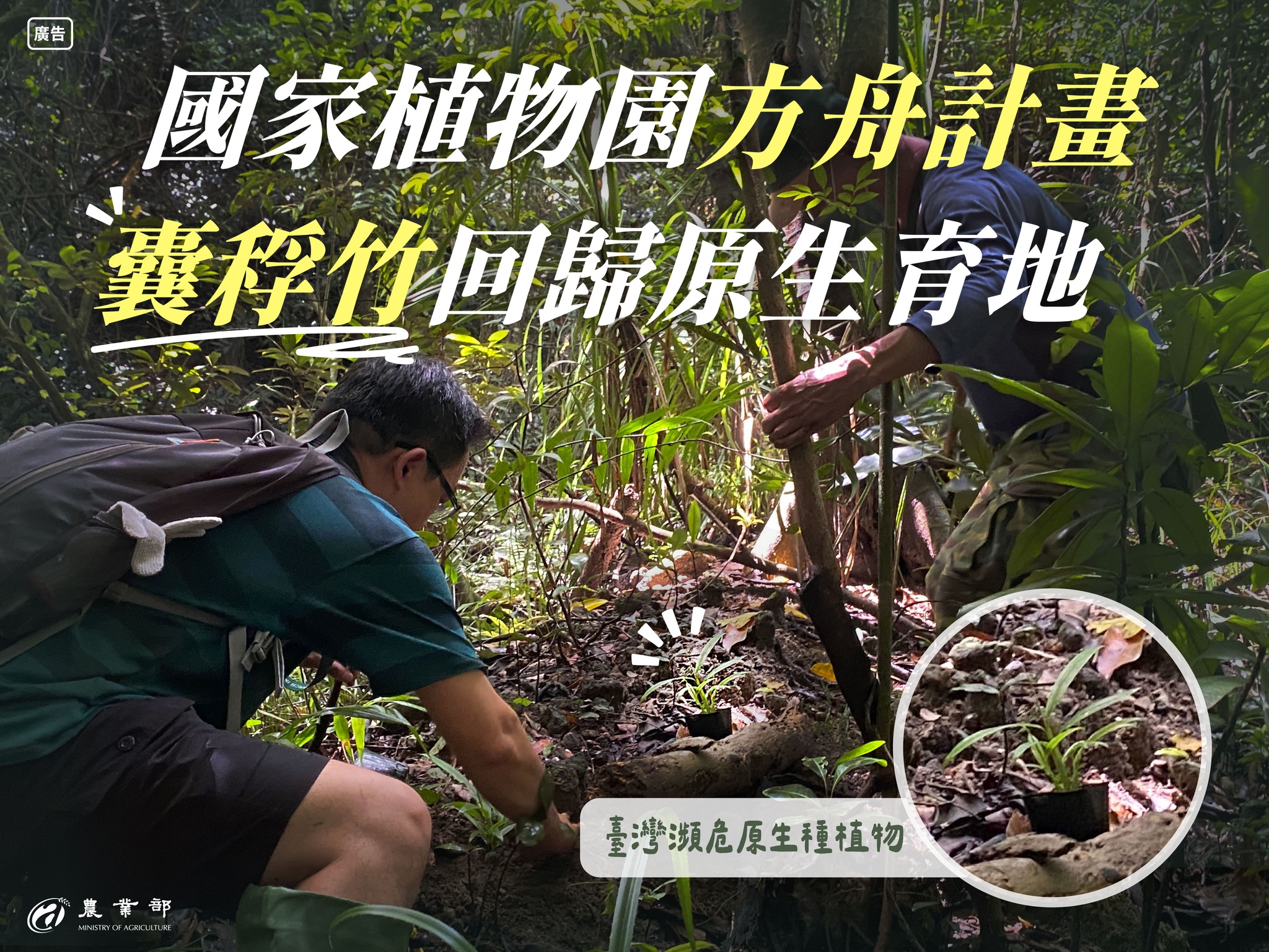 國家植物園方舟計畫