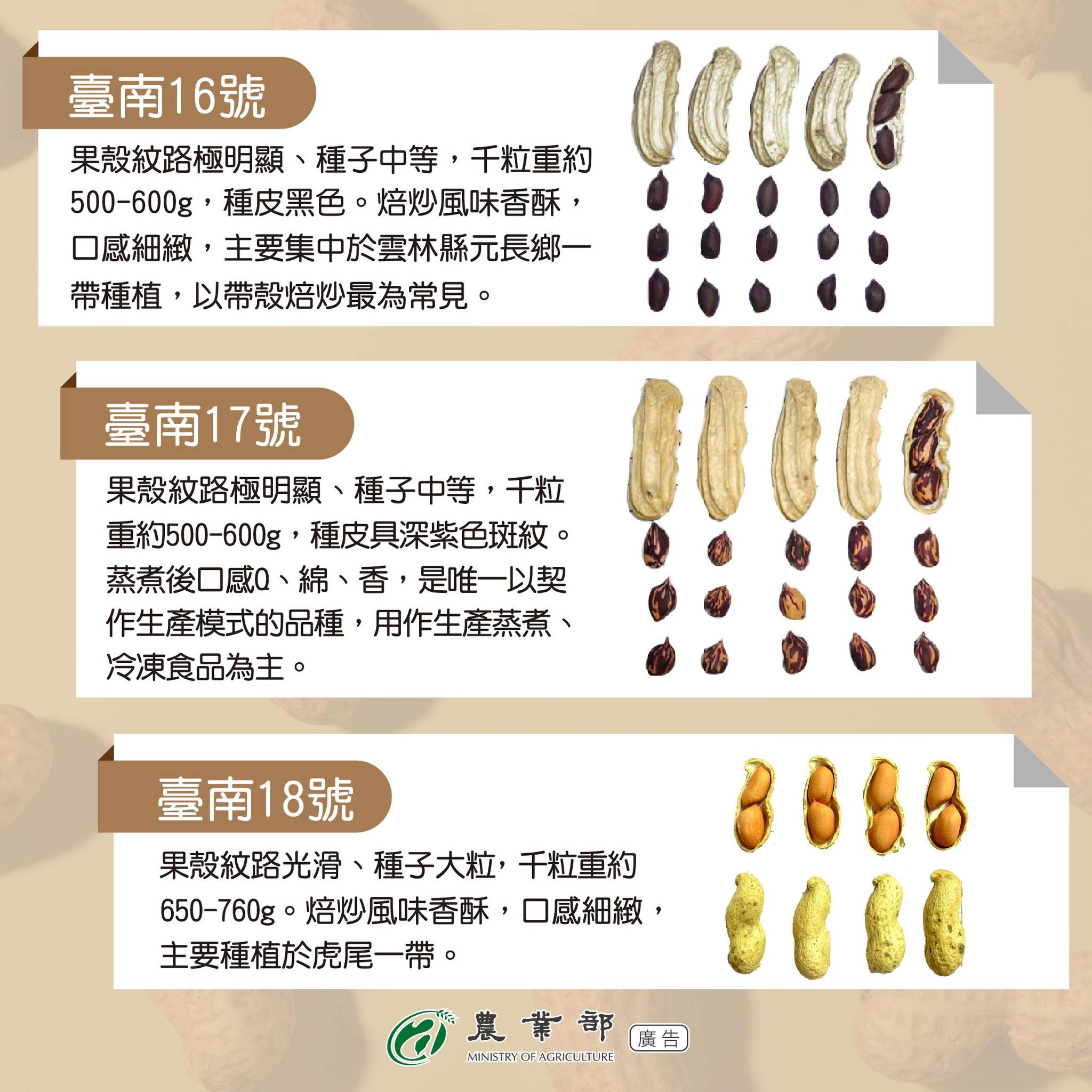 帶你認識落花生3