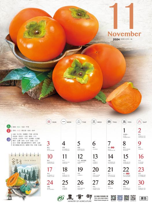 11月的代表水果——柿子!