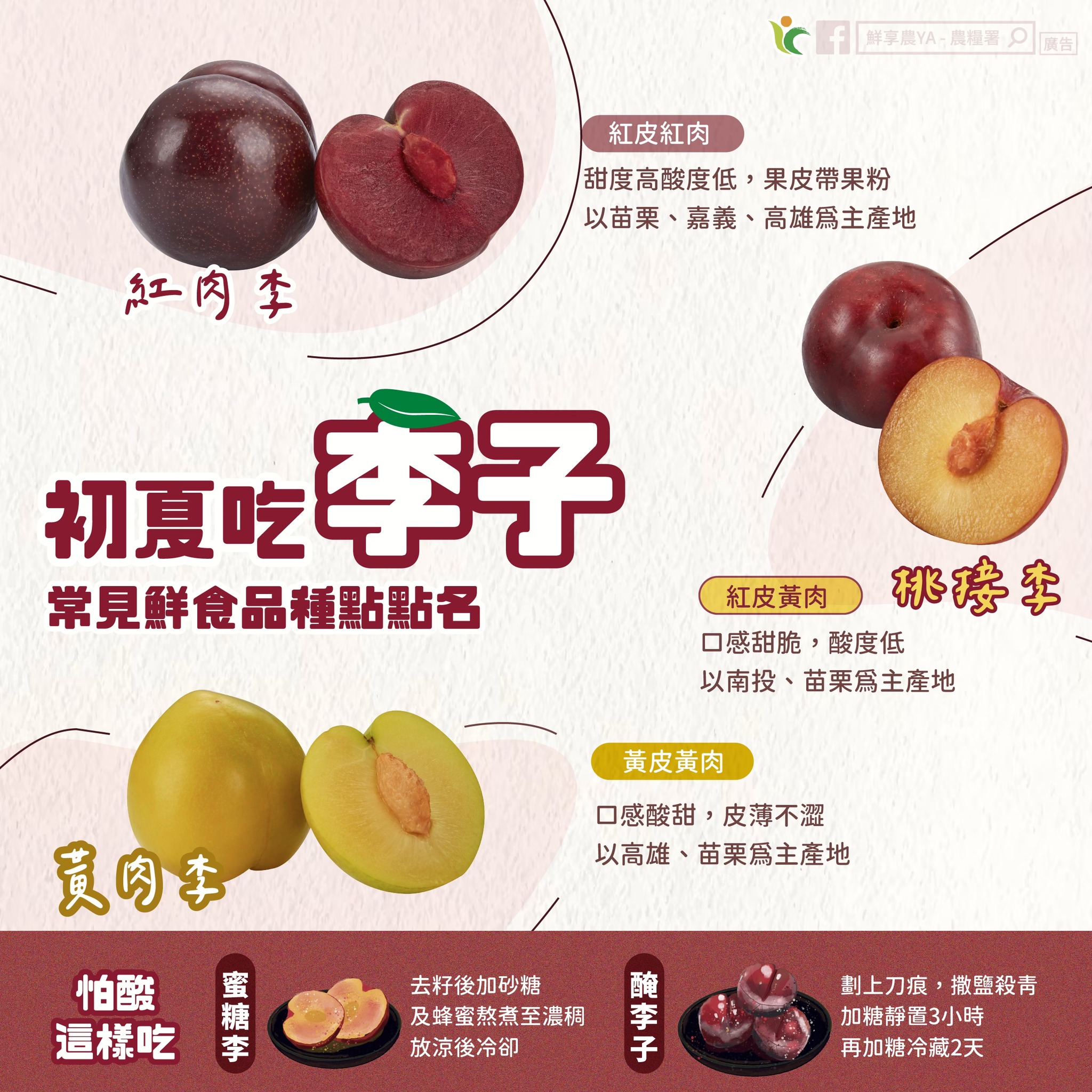 初夏吃「李子」