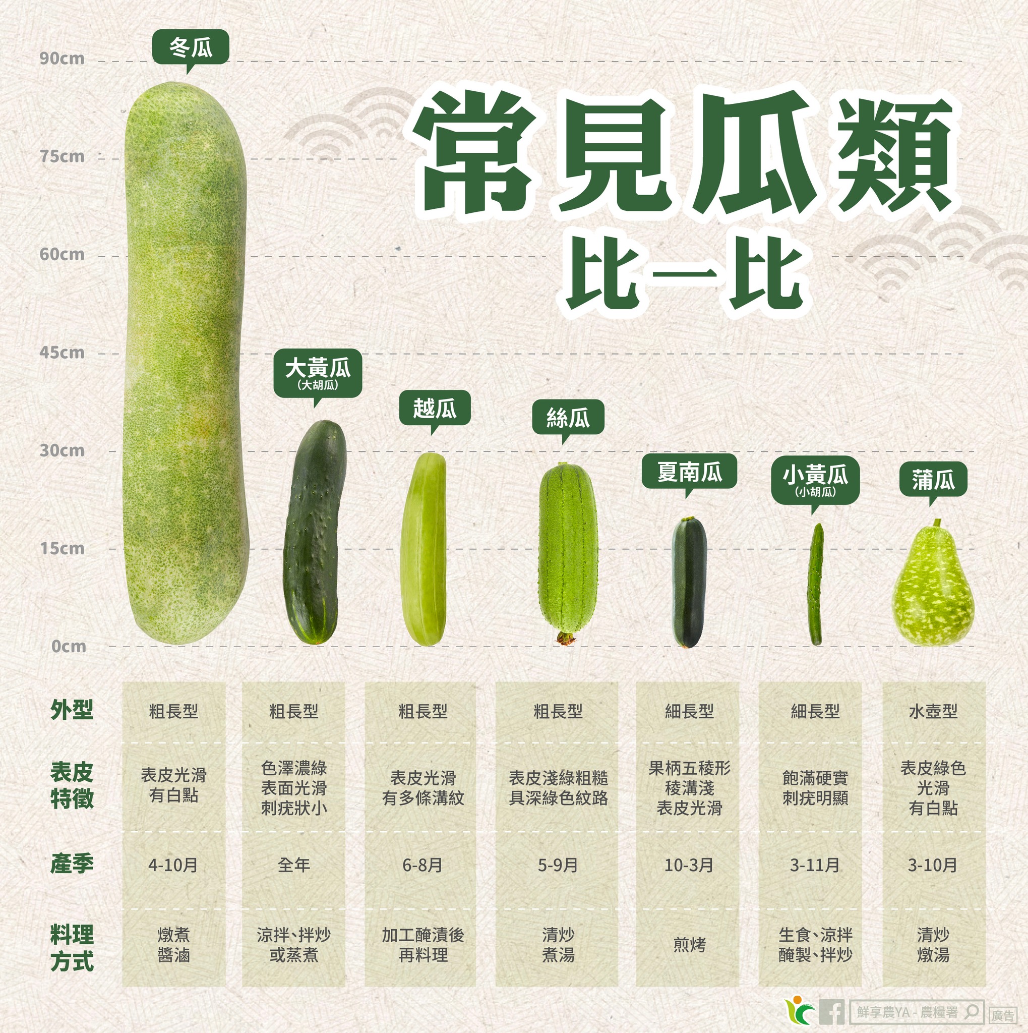 夏日消暑瓜瓜軍團報到！常見瓜類比一比