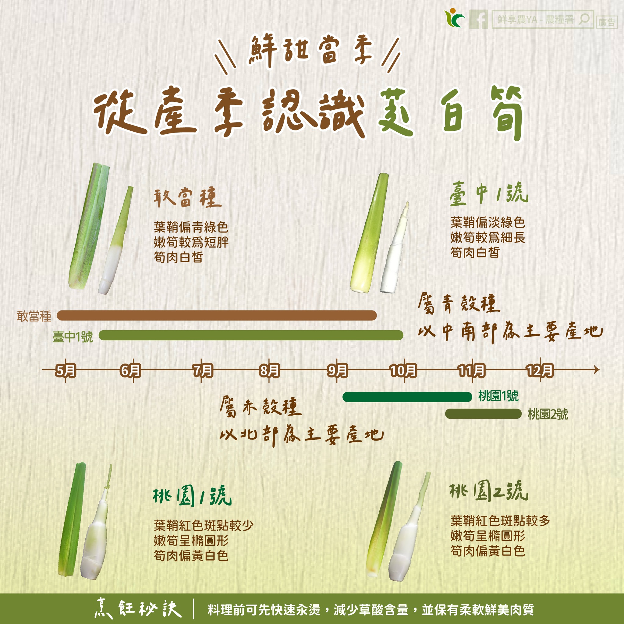 鮮甜當季帶你從產季認識茭白筍