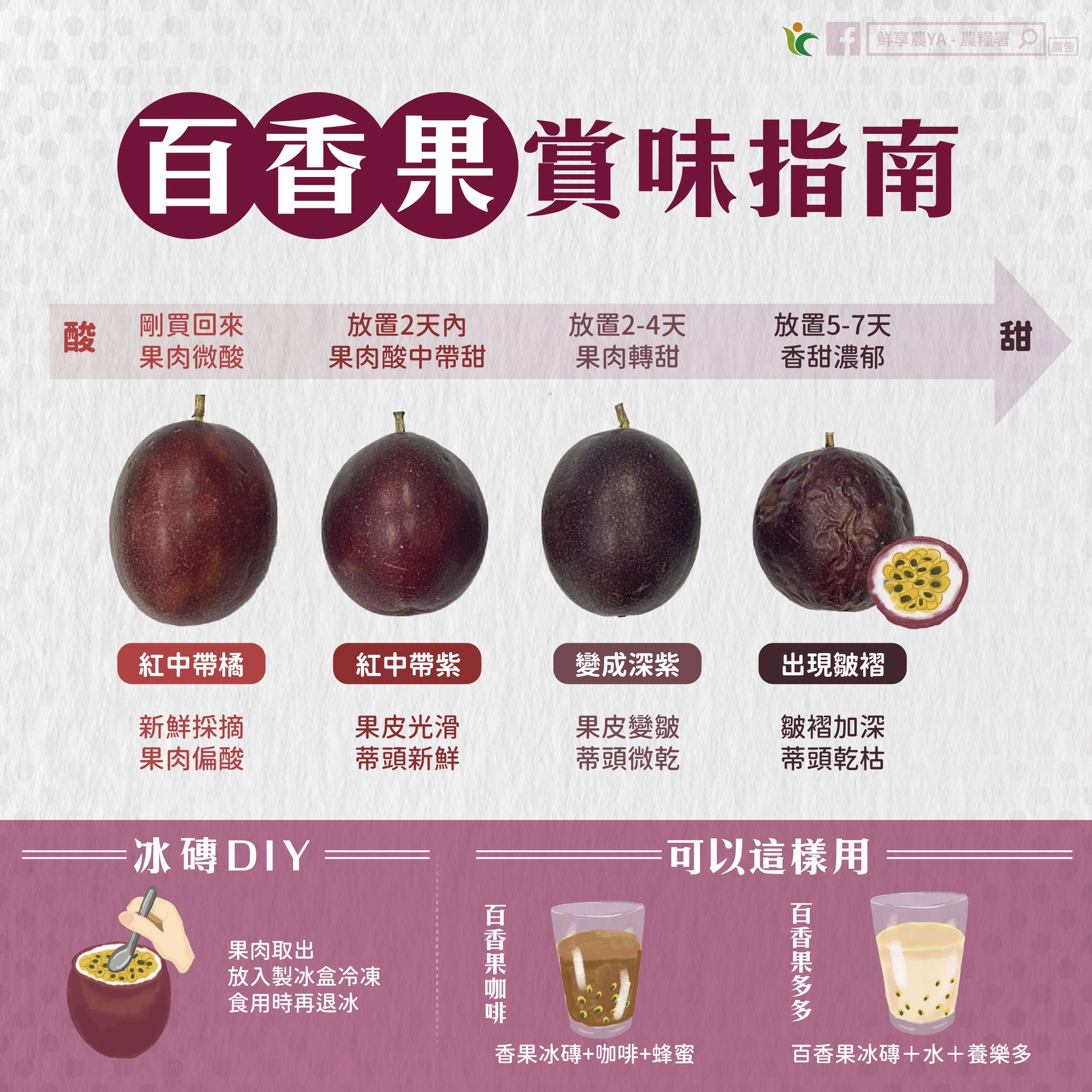 百香果賞味指南
