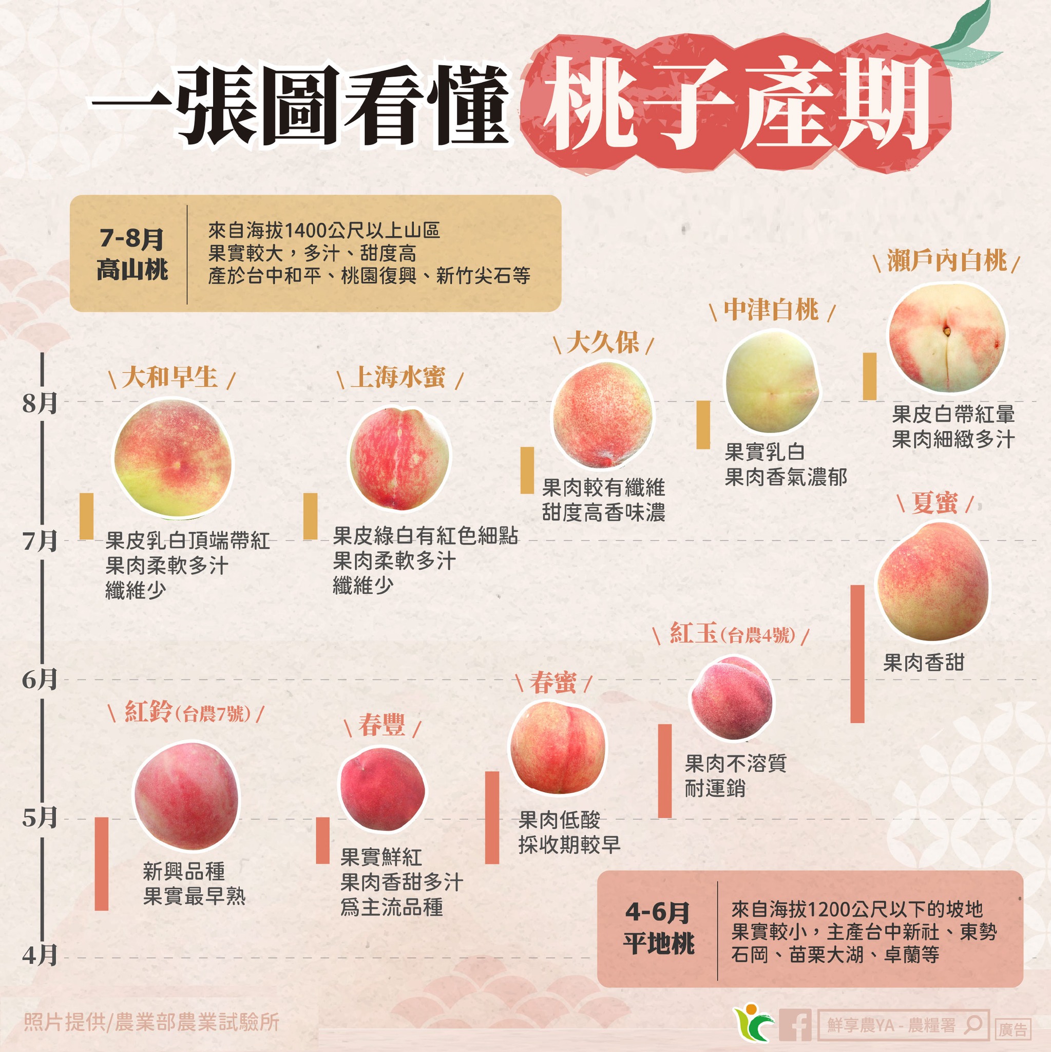 一張圖看懂桃子產期(桃園區農業改良場)