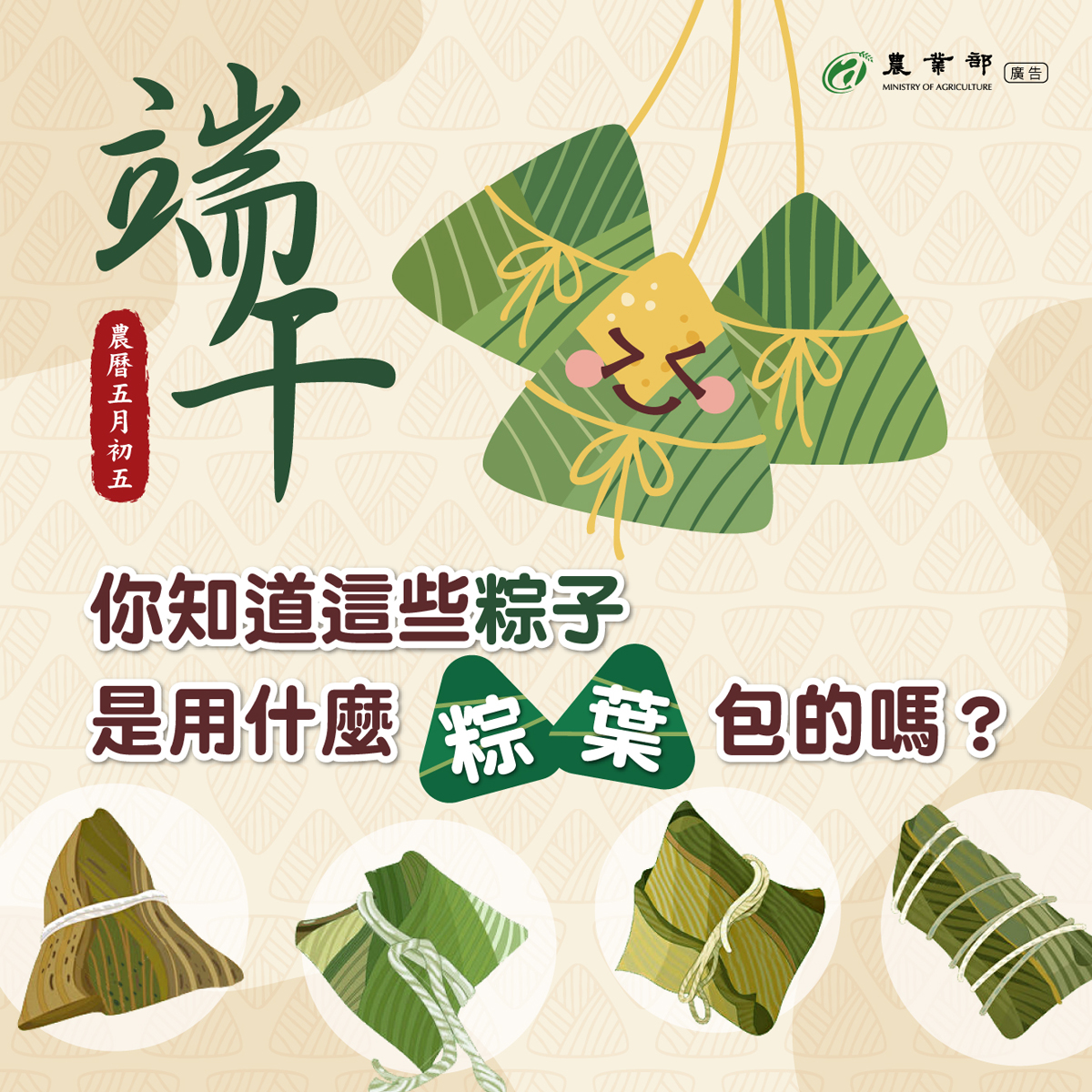 端午你知道這些粽子是用什麼粽葉包的嗎?
