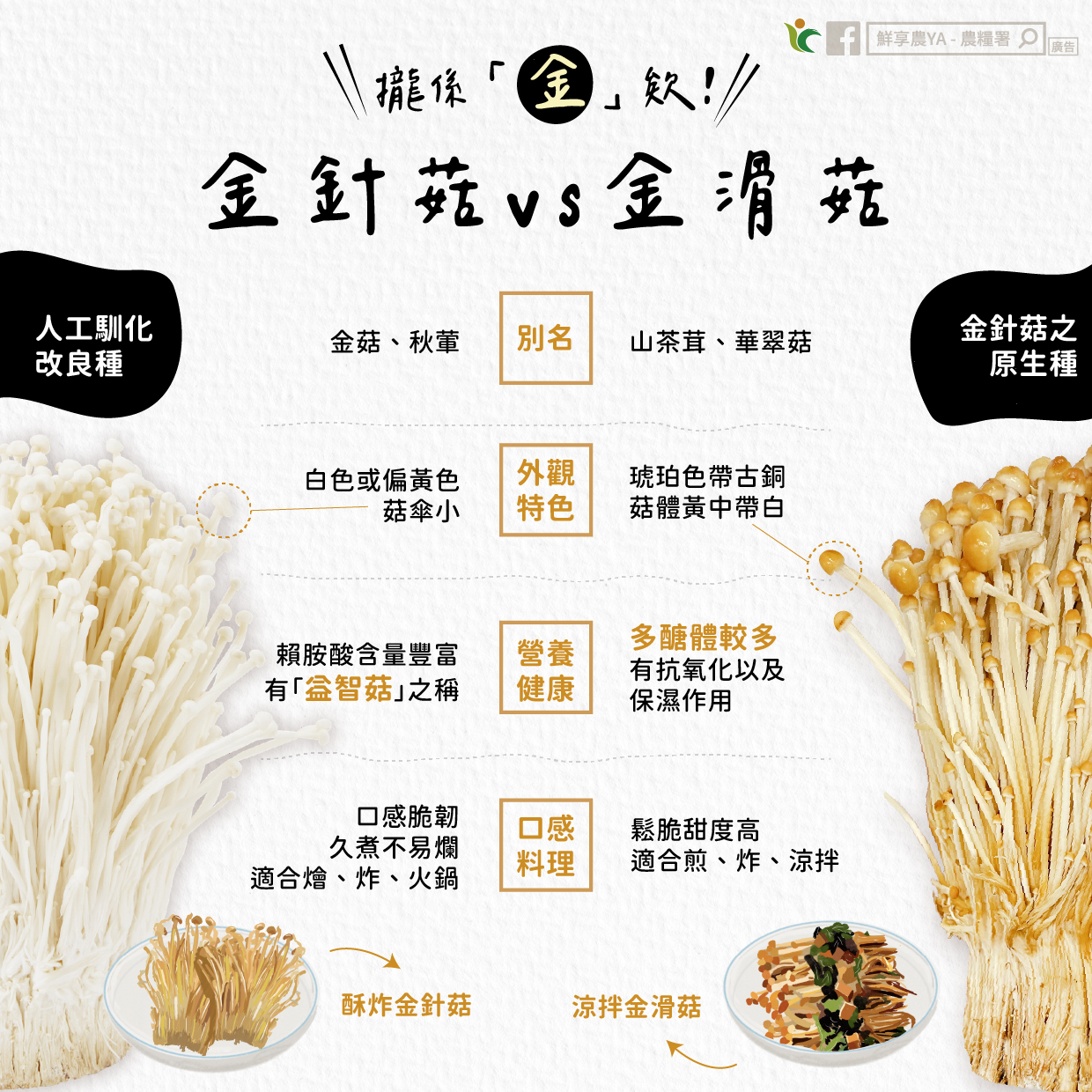 攏係「金」欸！金針菇VS金滑菇