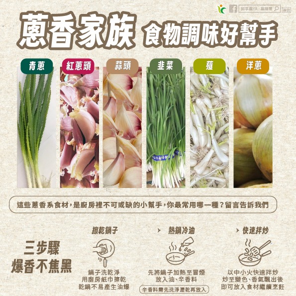 蔥香家族 食物調味好幫手