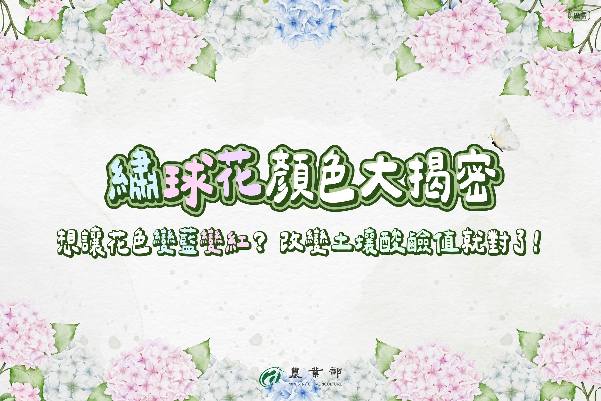 繡球花顏色大揭密
