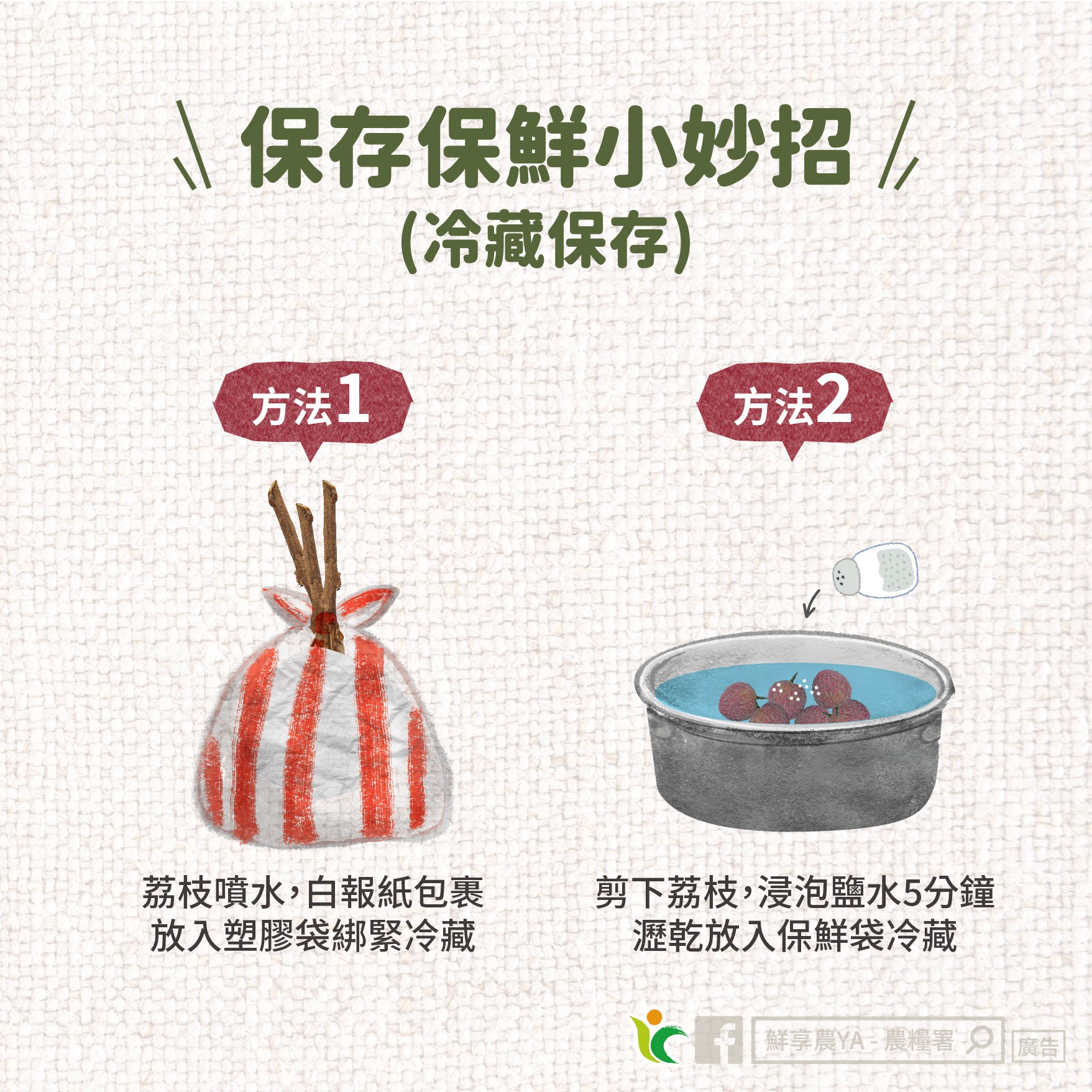 2荔枝 知識+
