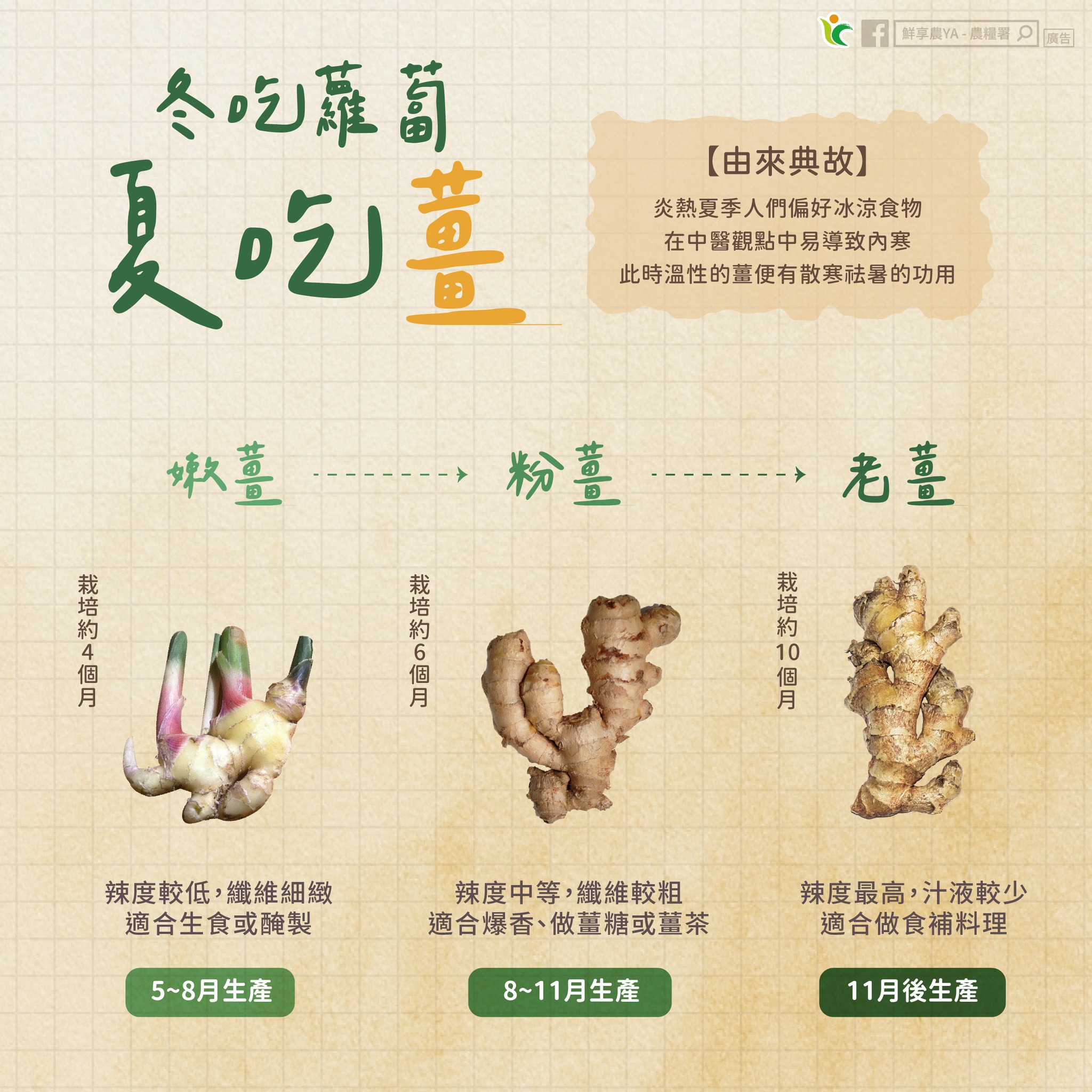 冬吃蘿蔔夏吃薑