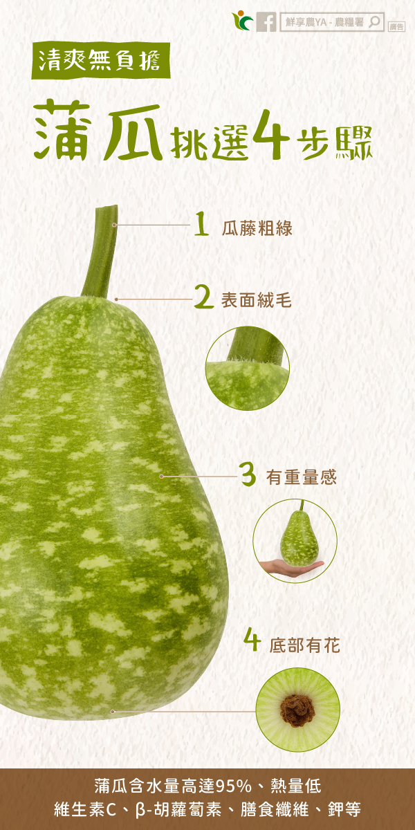 蒲瓜太大顆，一次吃不完，來看看如何保存，減少水分流失