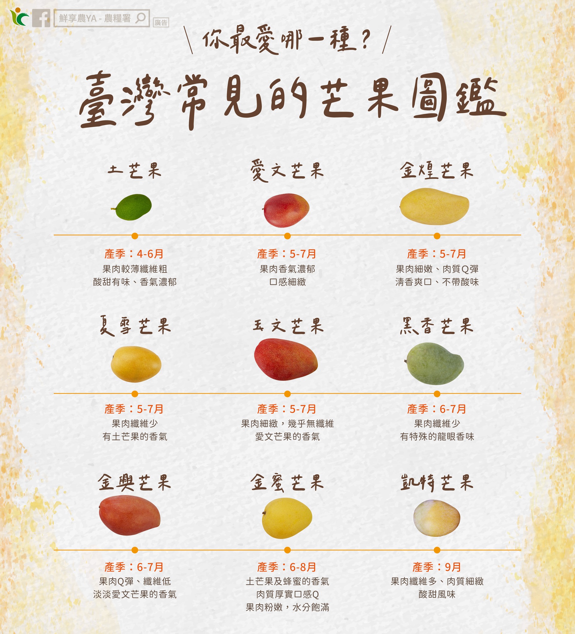 臺灣常見得芒果圖鑑登場