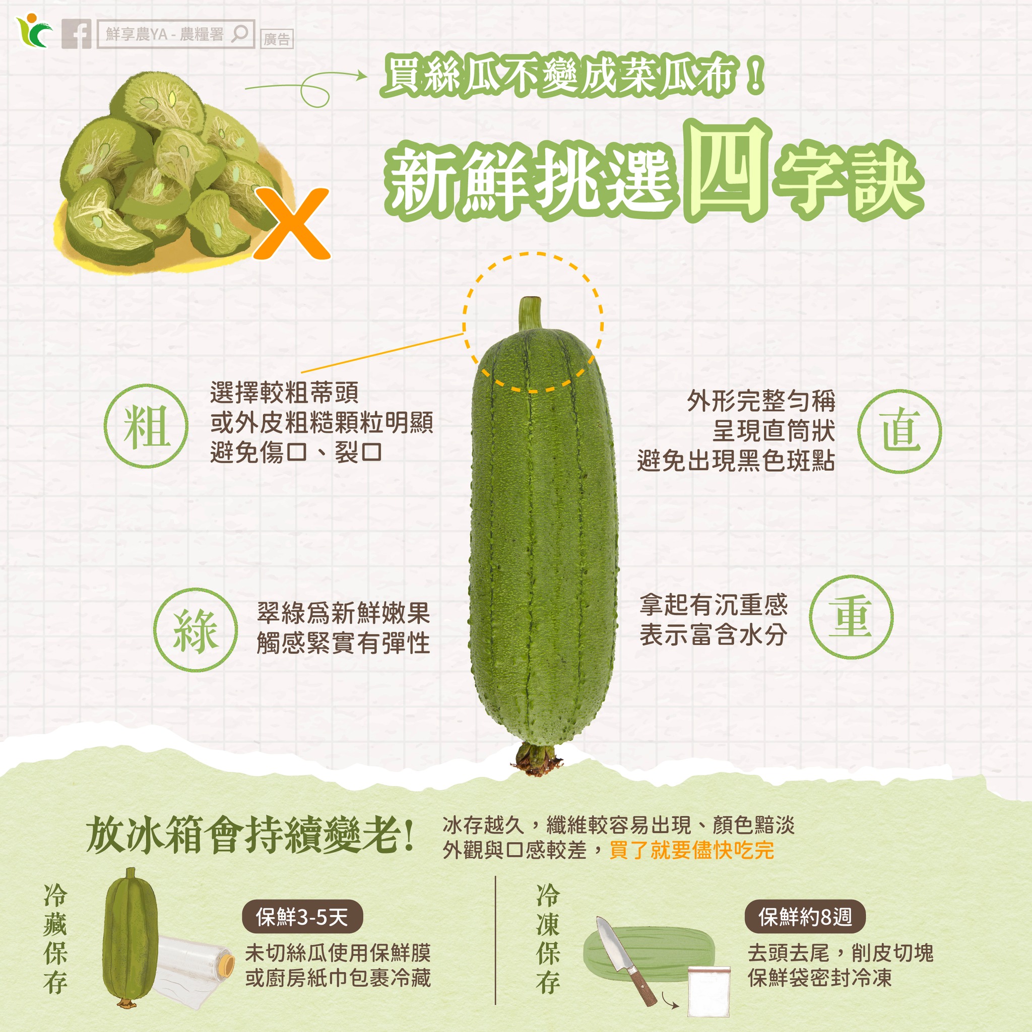 絲瓜新鮮挑選四字訣