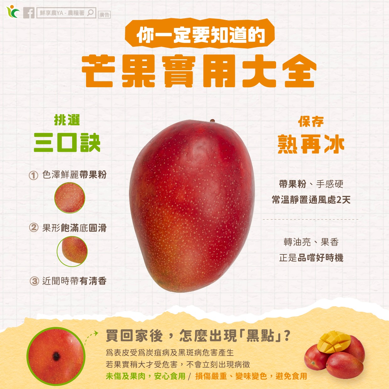 你今年吃「芒果」了嗎，夏天必備的芒果實用大全～報你知