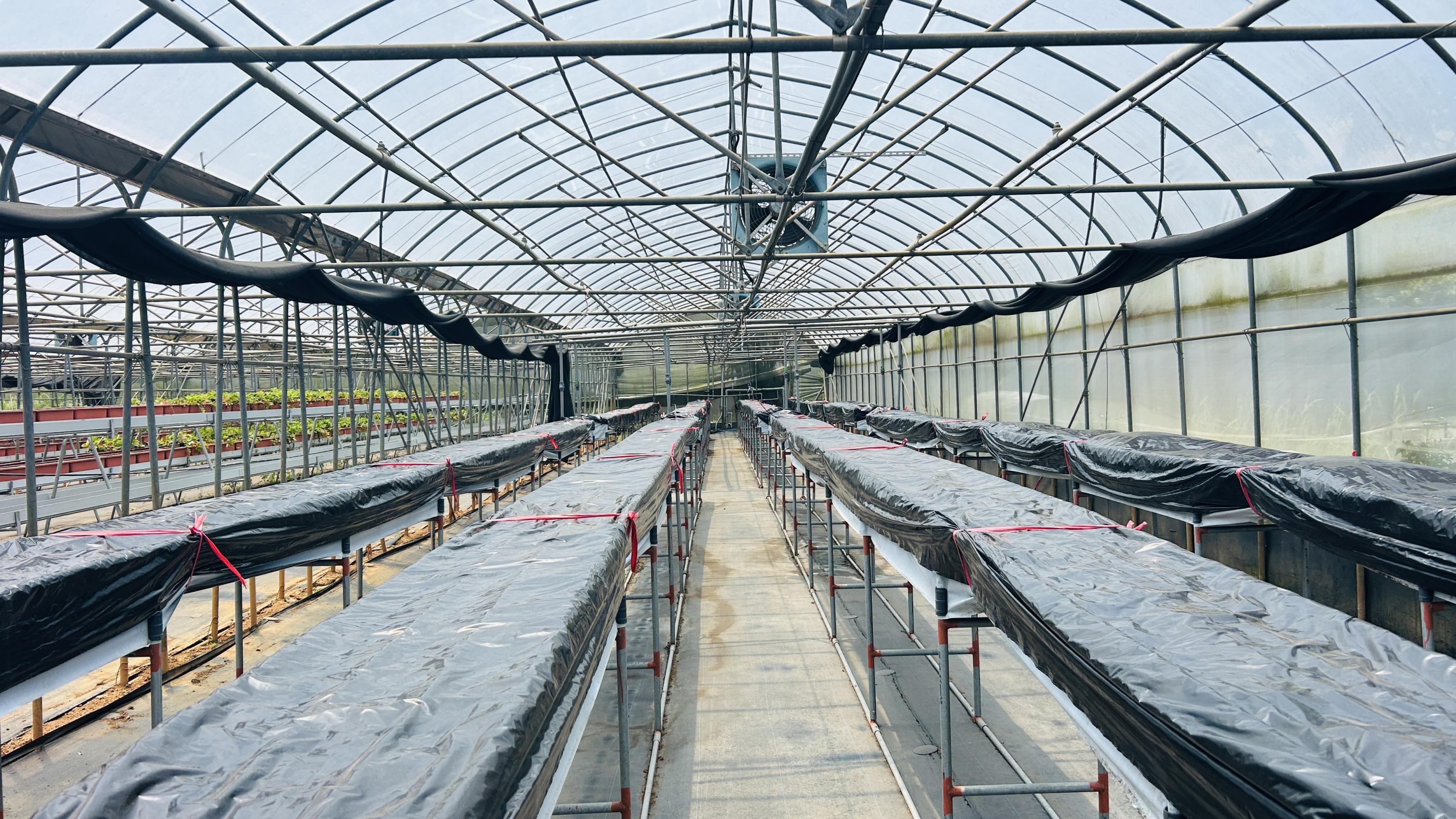 Figure 4.Completing thorough cleaning and media disinfection before transplanting