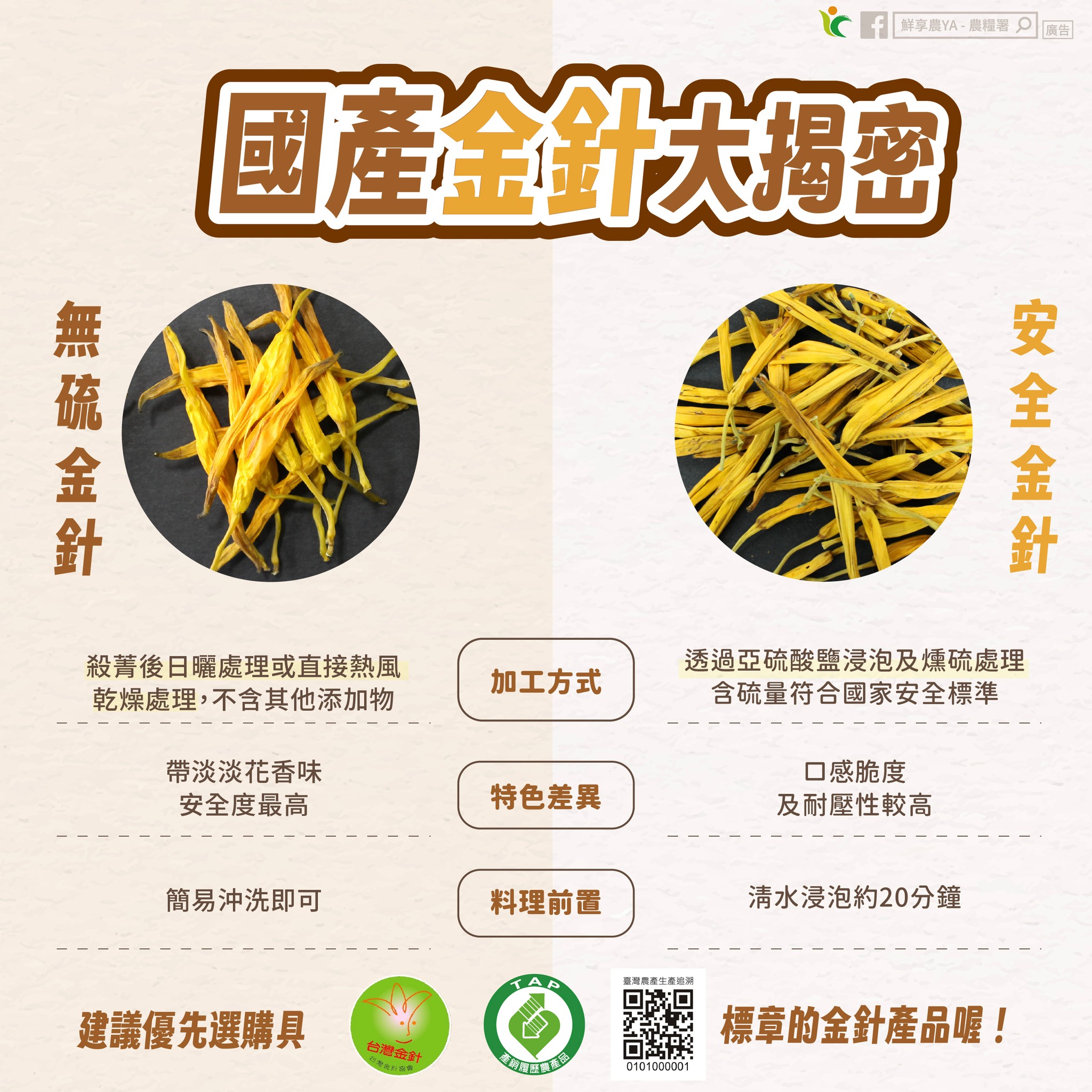 「國產金針」大揭密,一圖帶你搞懂市售金針的差異