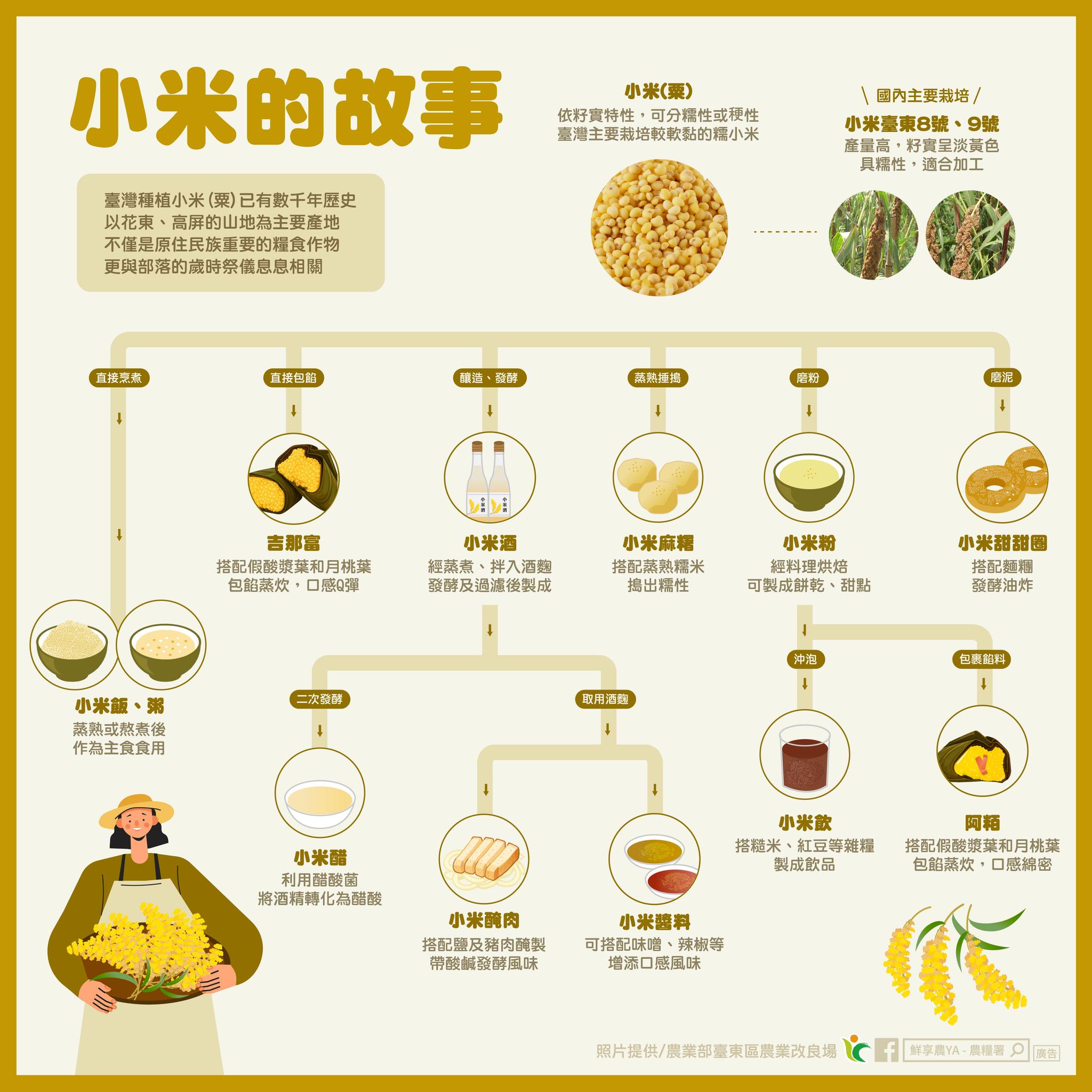 品味原食～一起來認識「小米的故事」