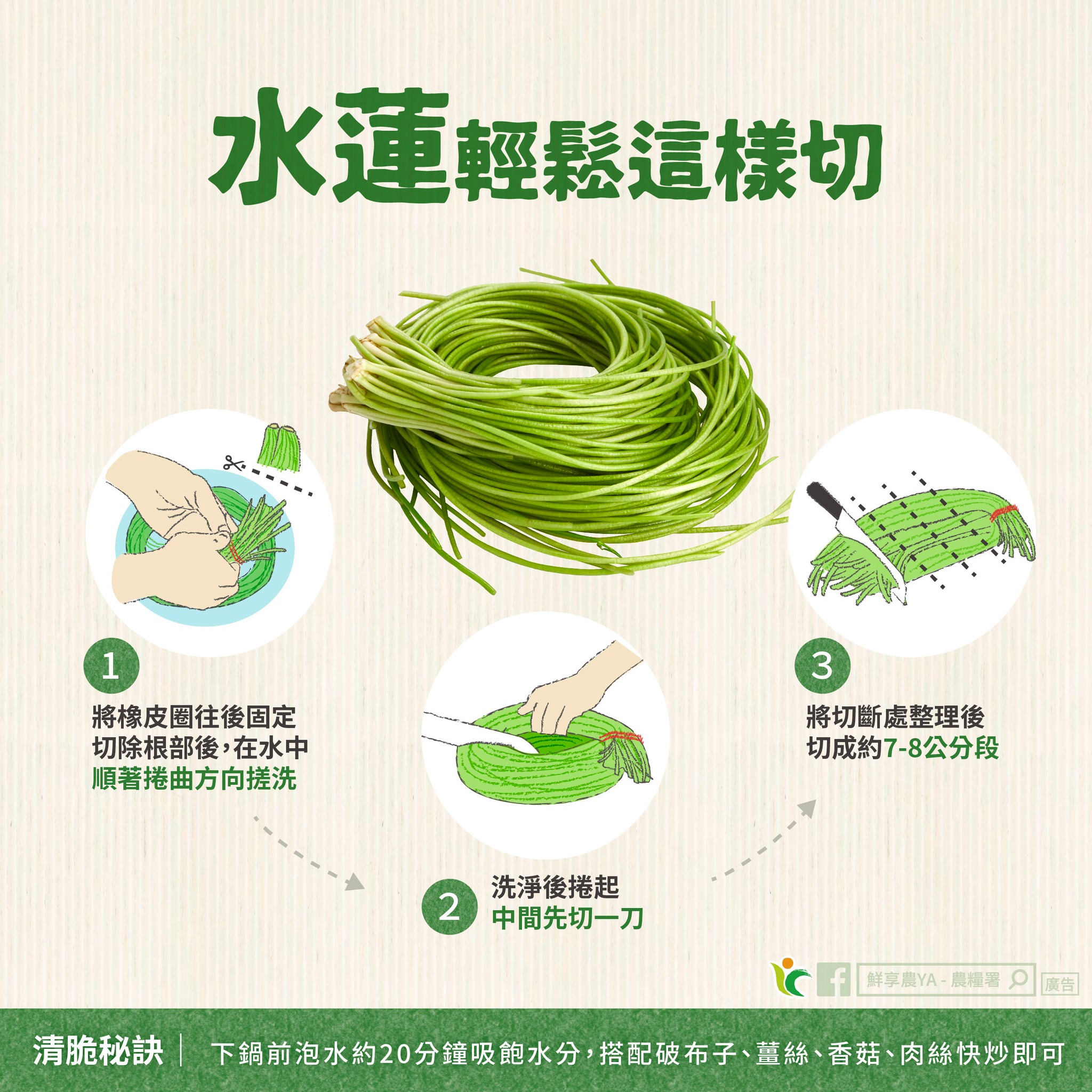 簡單3步驟～「水蓮」輕鬆「這樣切」