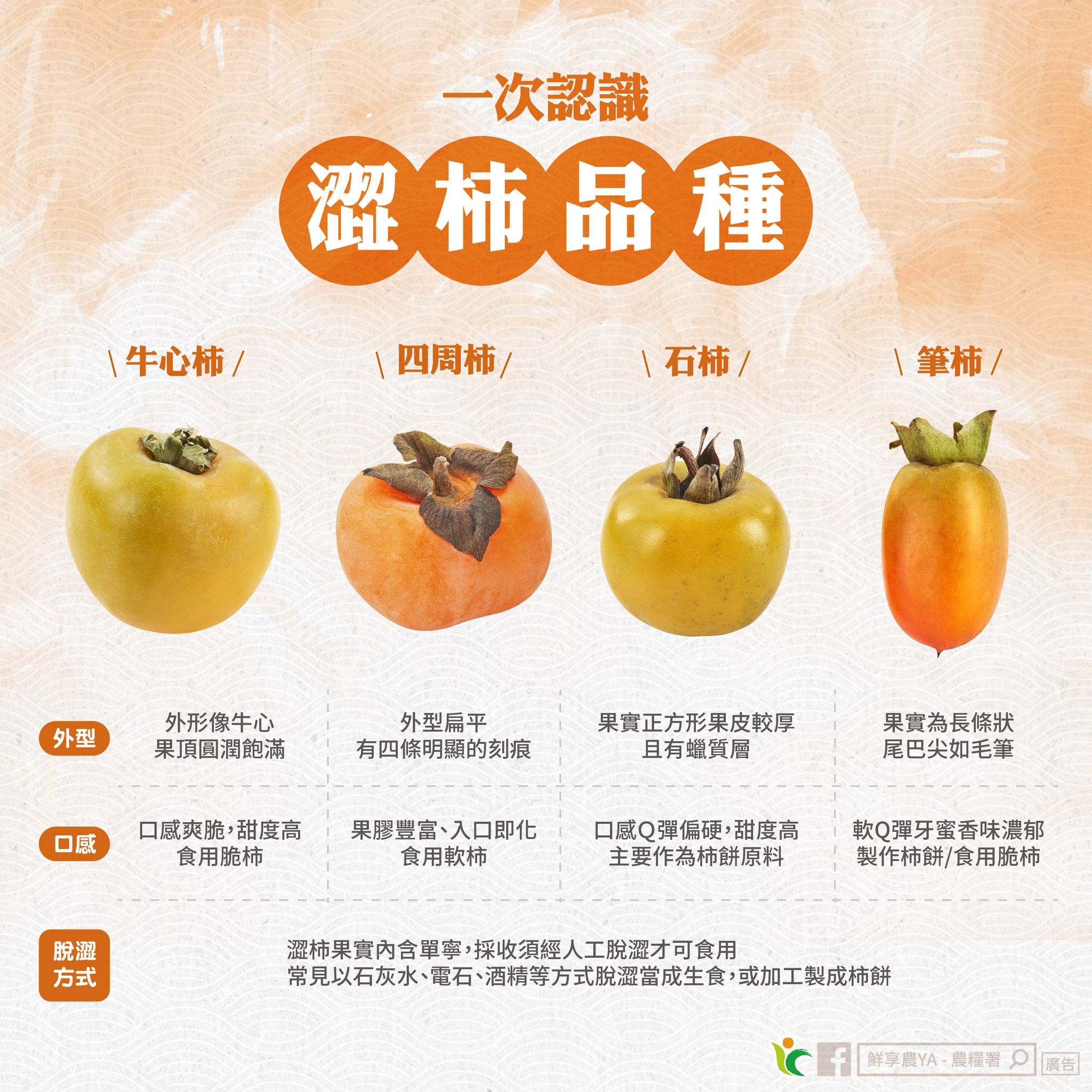 一次認識-澀柿品種