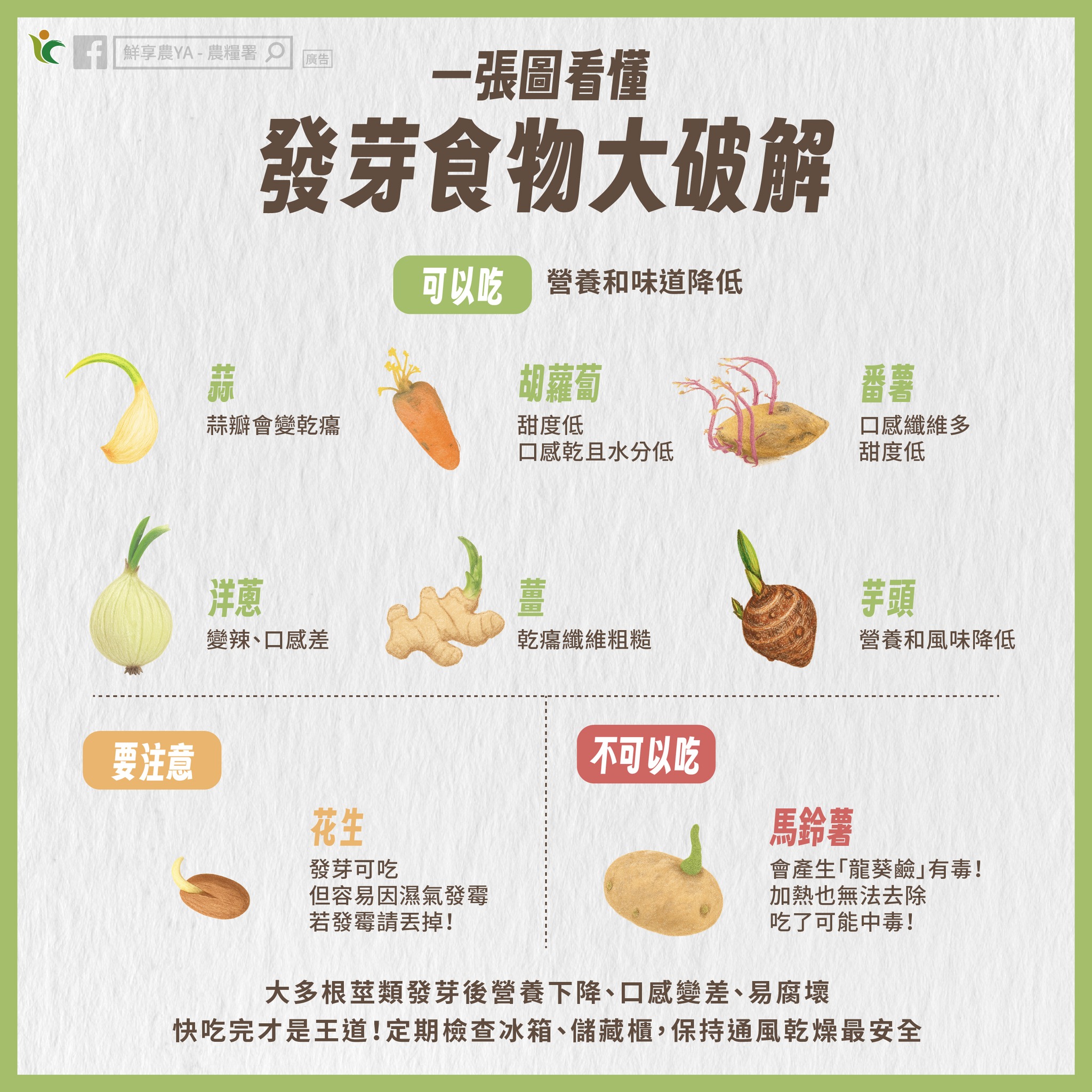 發芽食物大破解