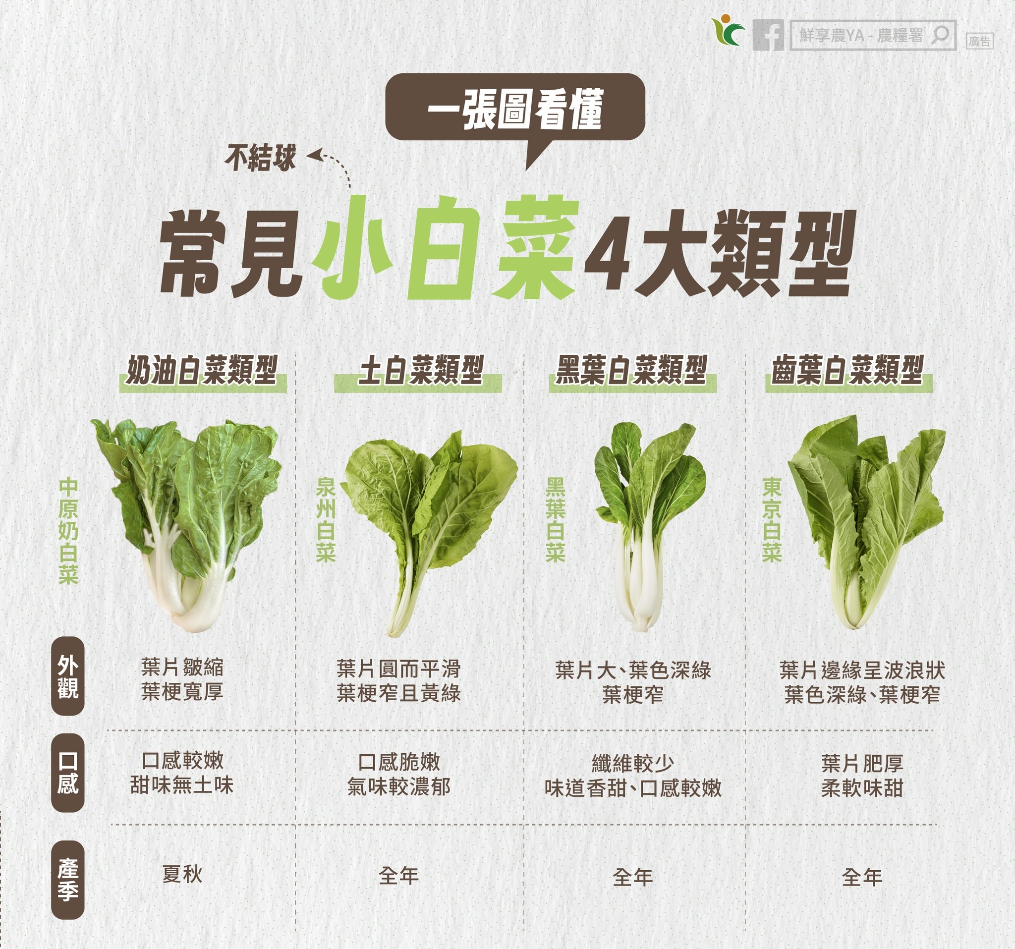 一張圖帶你看懂~常見的小白菜4大類型