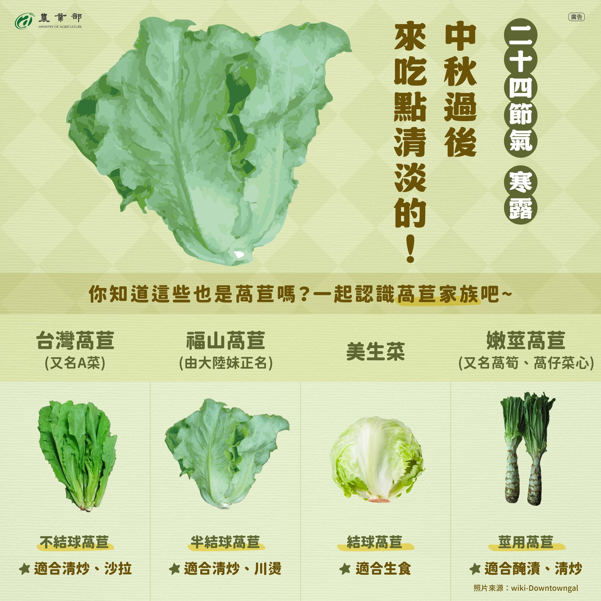 一起來認識萵苣家族吧！