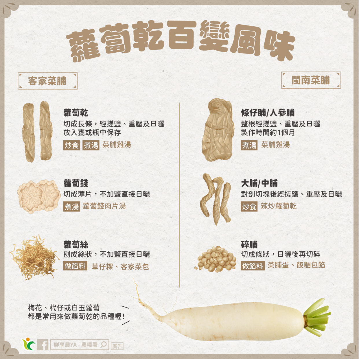 日曬好滋味，一起認識「蘿蔔乾」百變風味