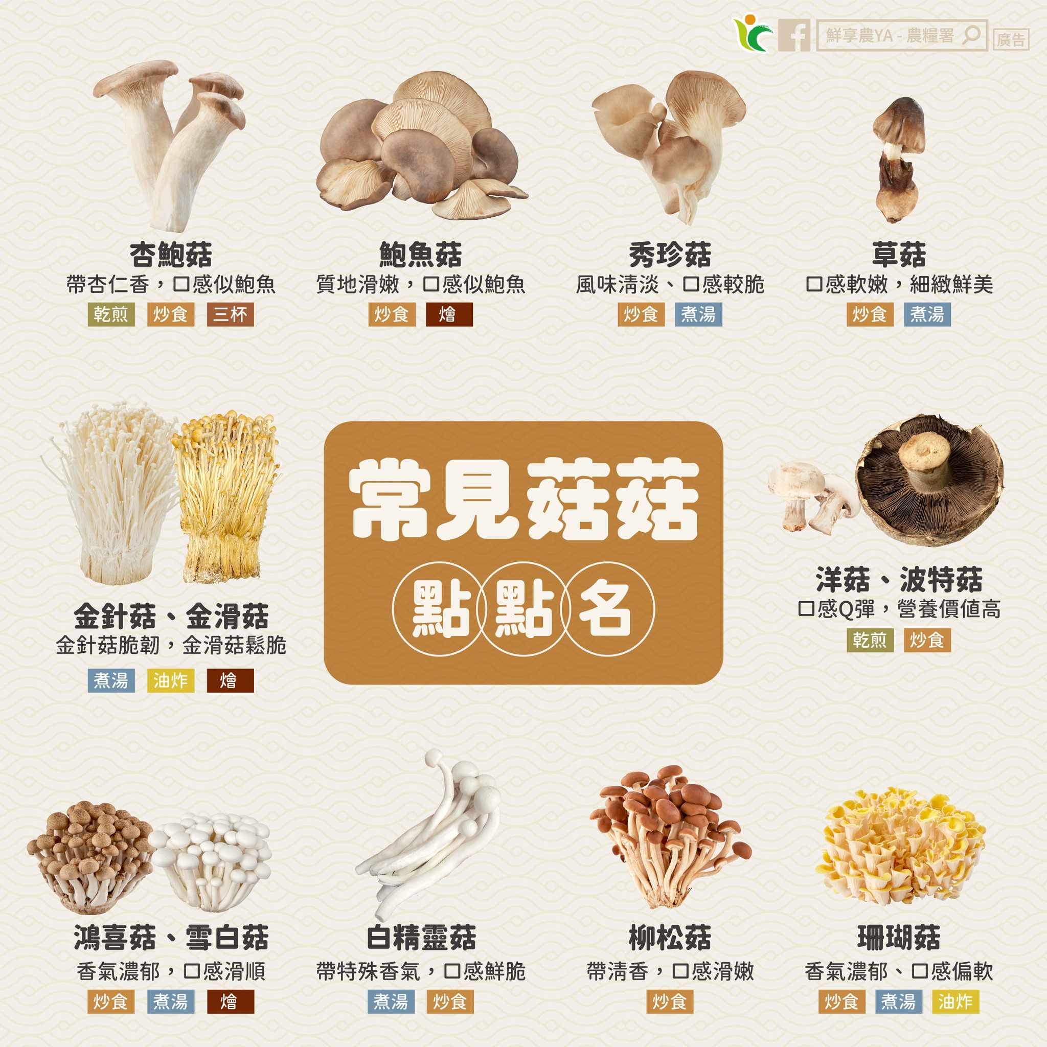 常見菇菇點點名