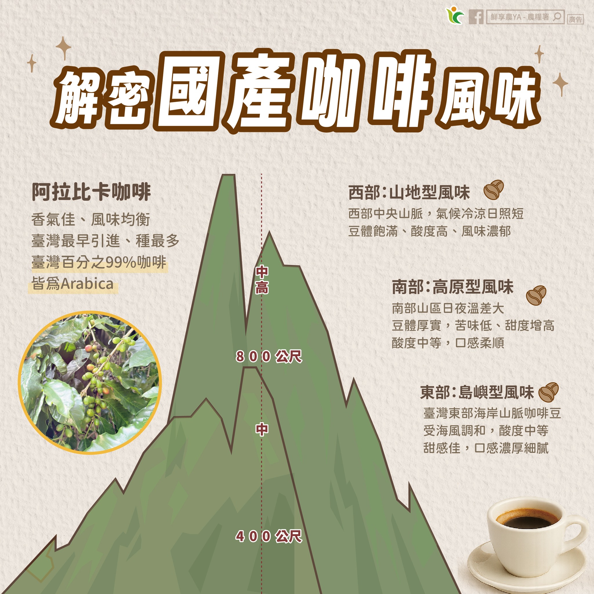一張圖帶你～解密 國產咖啡風味