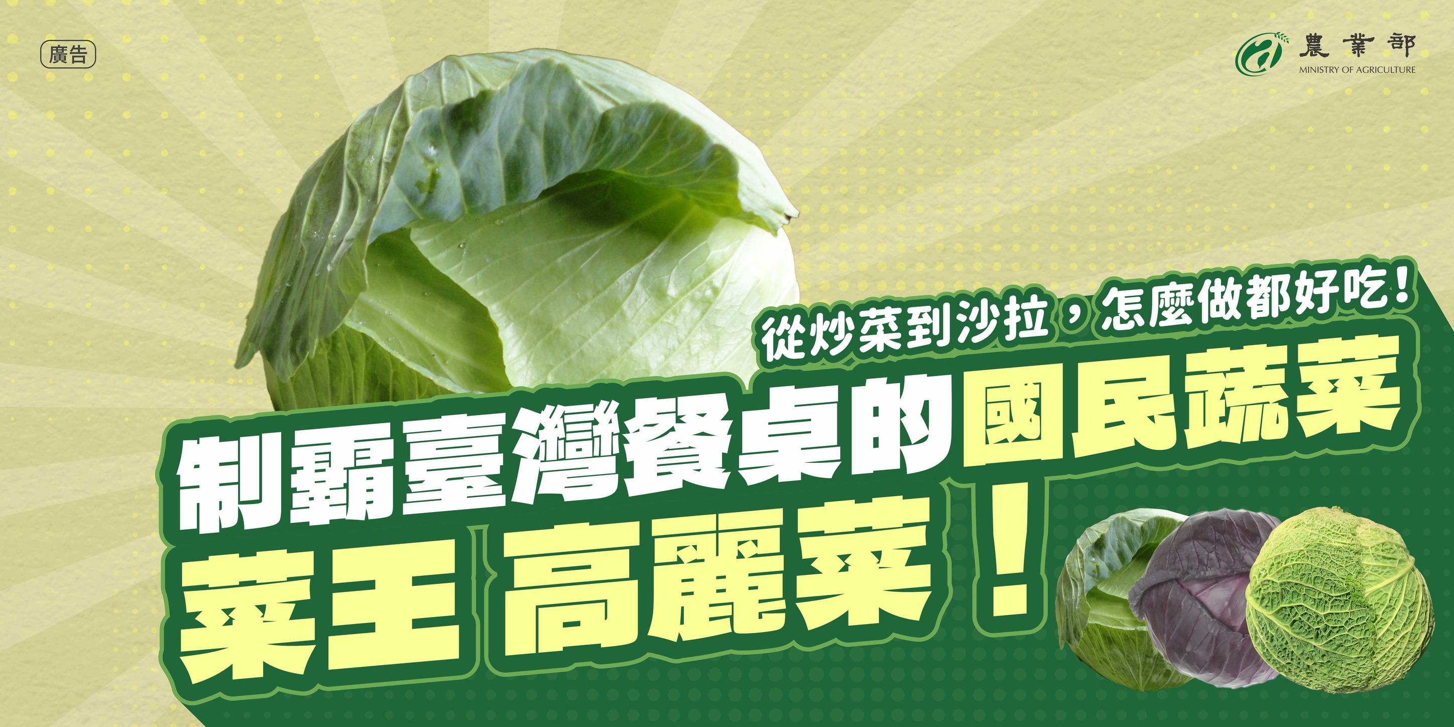 你知道「甘藍」是怎麼成為國民蔬菜的嗎？1