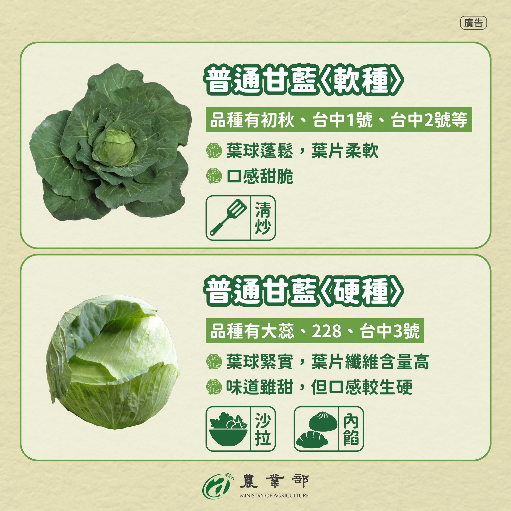 你知道「甘藍」是怎麼成為國民蔬菜的嗎？2