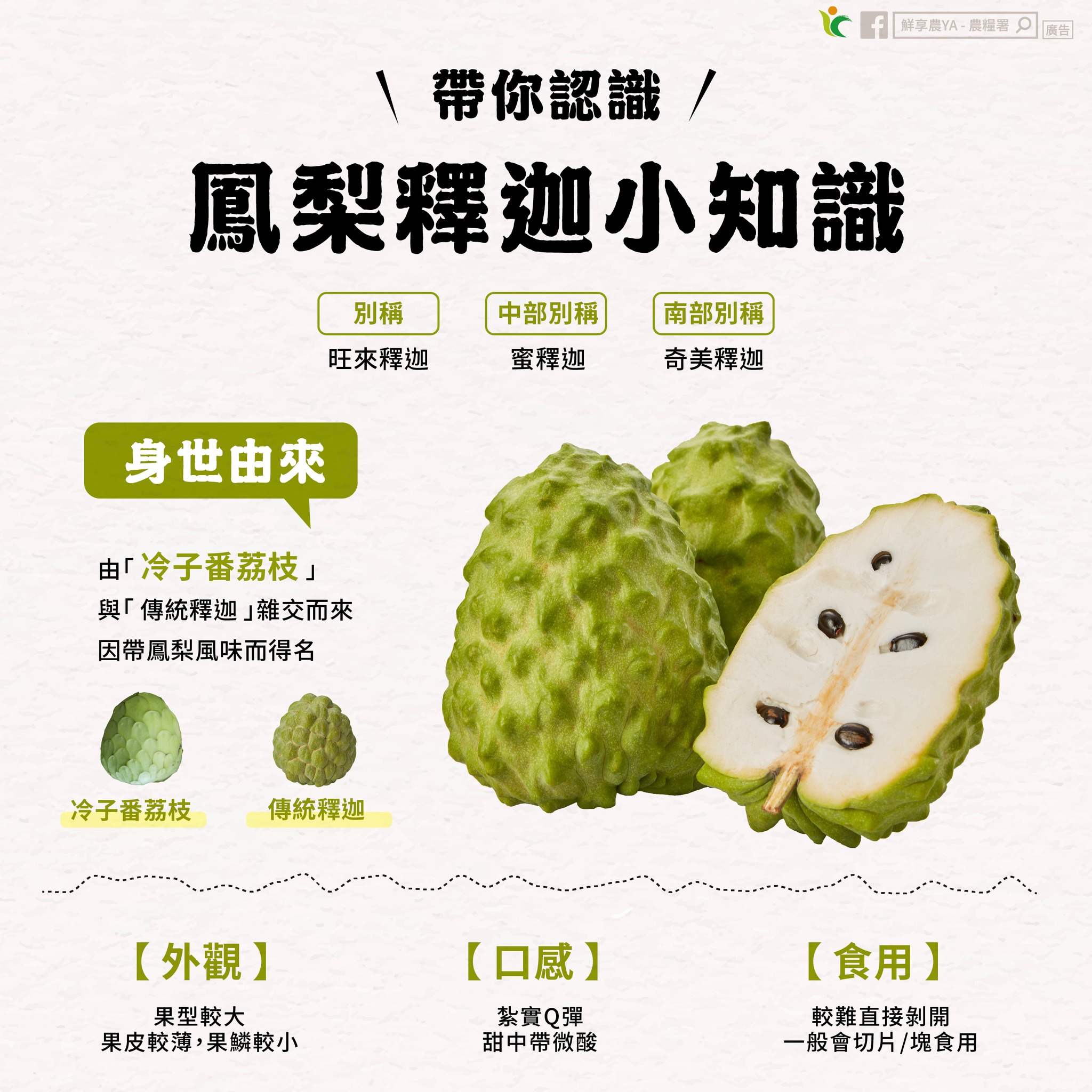 帶你認識鳳梨釋迦的小知識