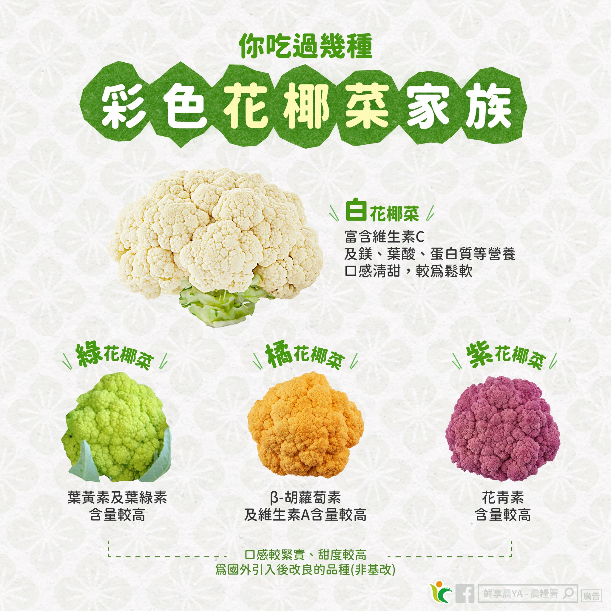 帶你認識~「彩色花椰菜」家族
