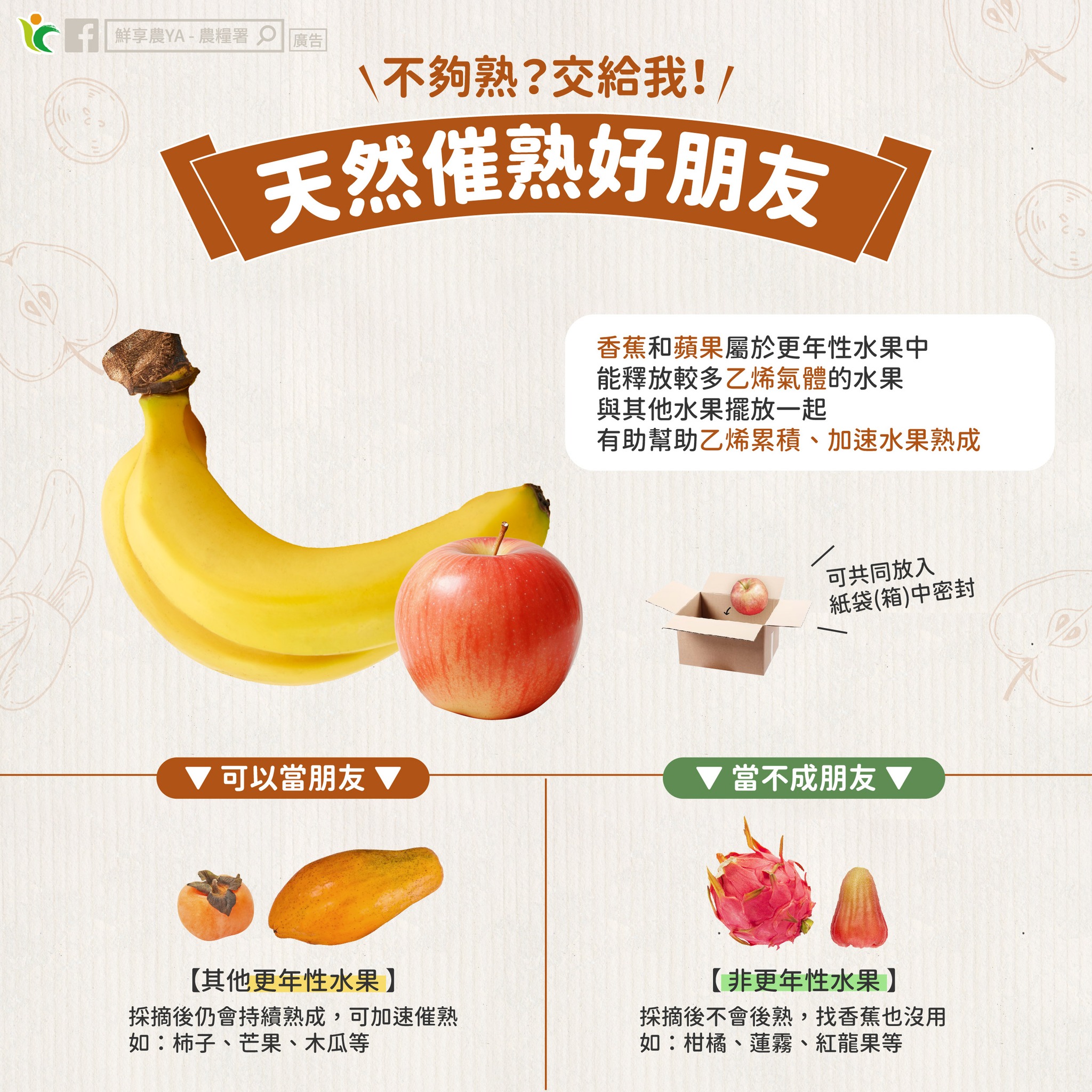 不夠熟?交給我!一起認識「後熟」的秘密