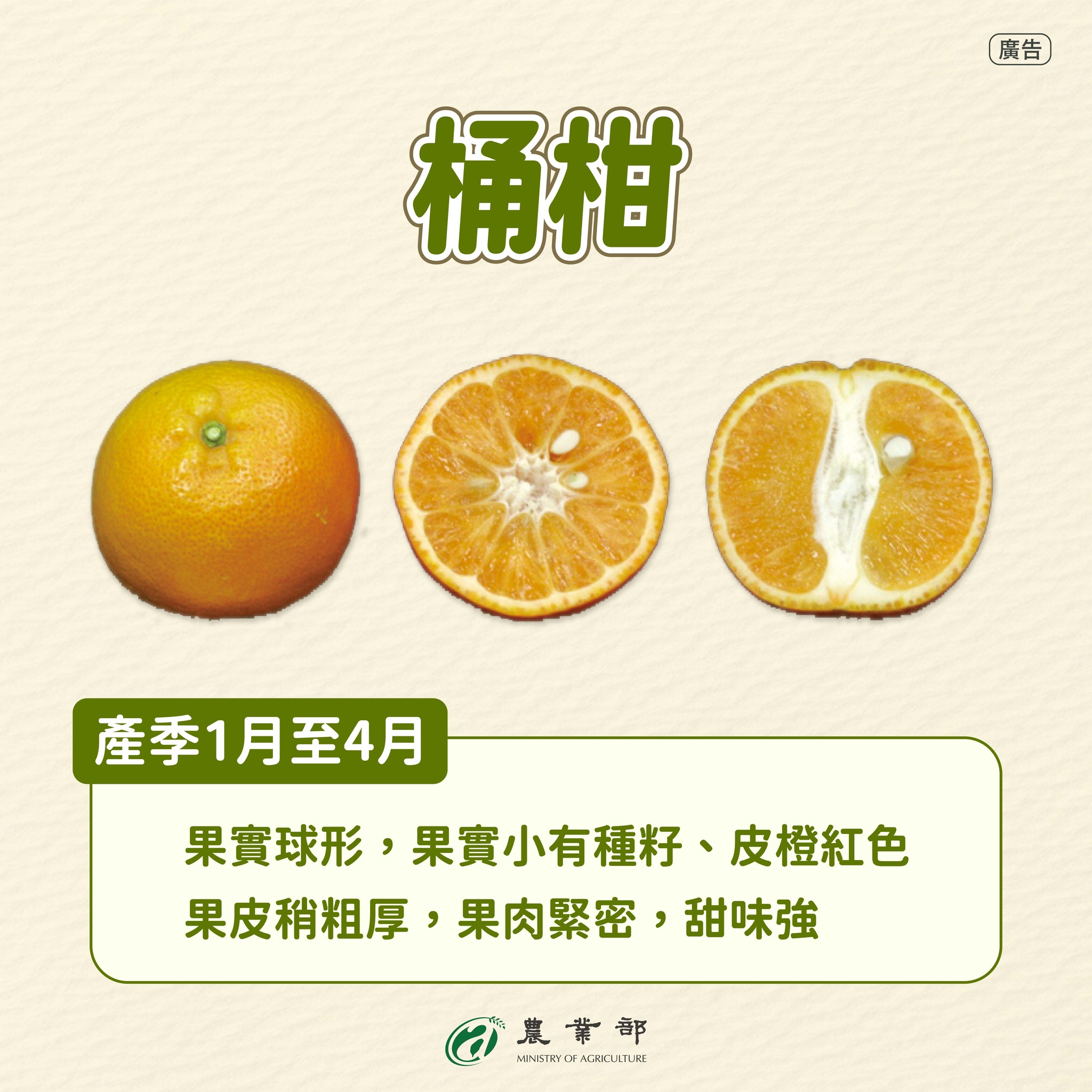 桶柑